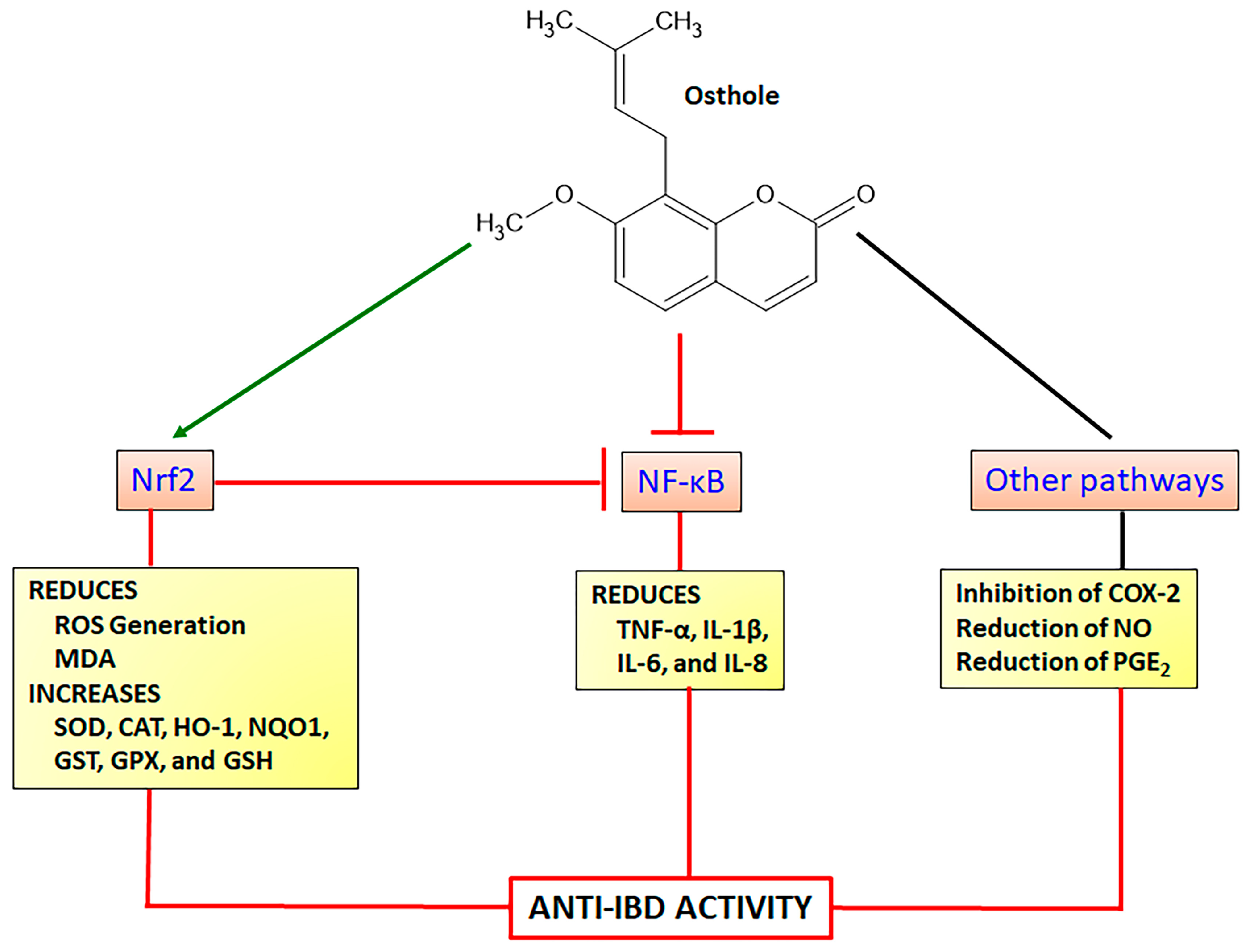 Pharmaceuticals 16 00511 g007 Pharmaceuticals 16 00511 g007