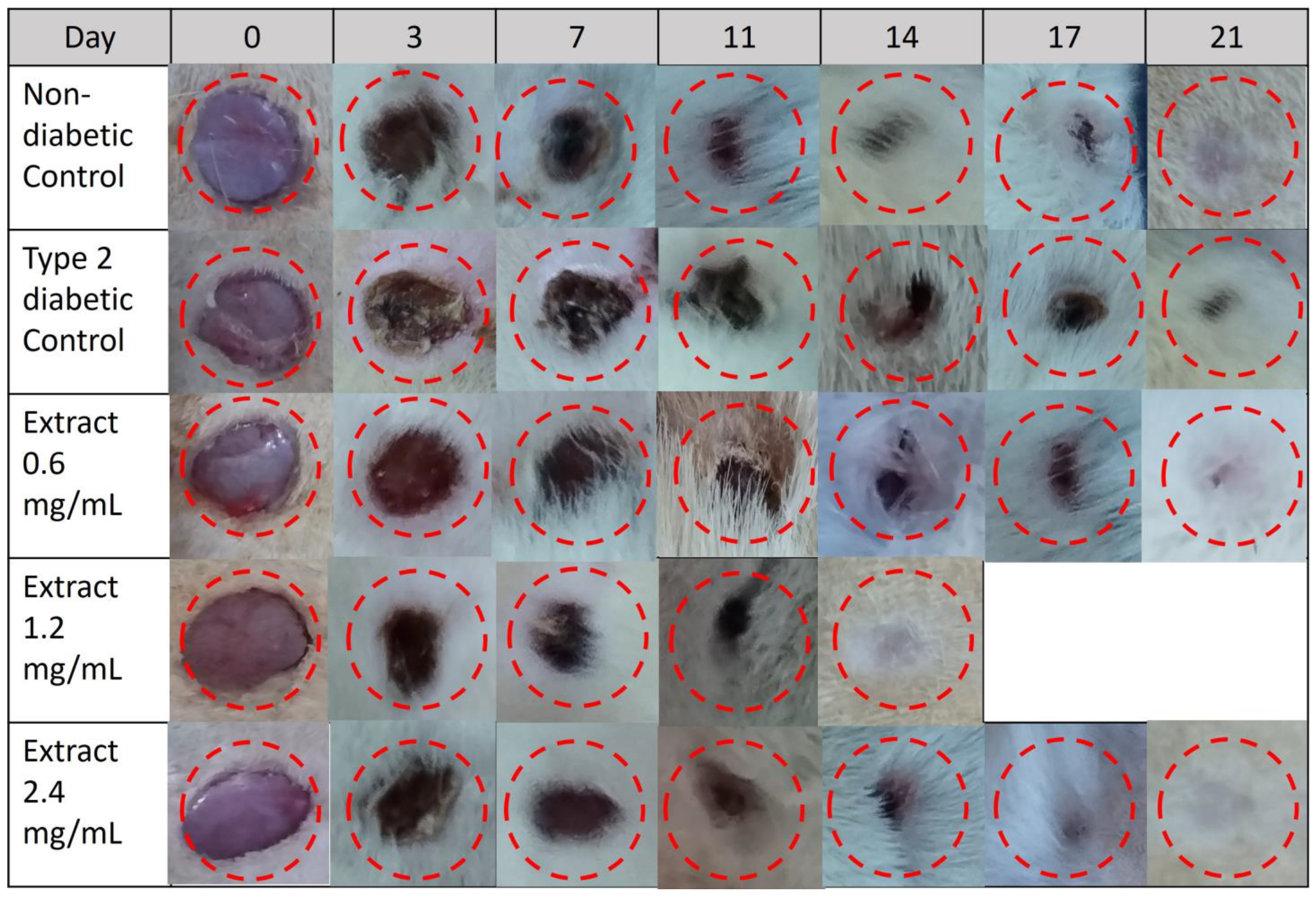Pharmaceuticals 16 00514 g007