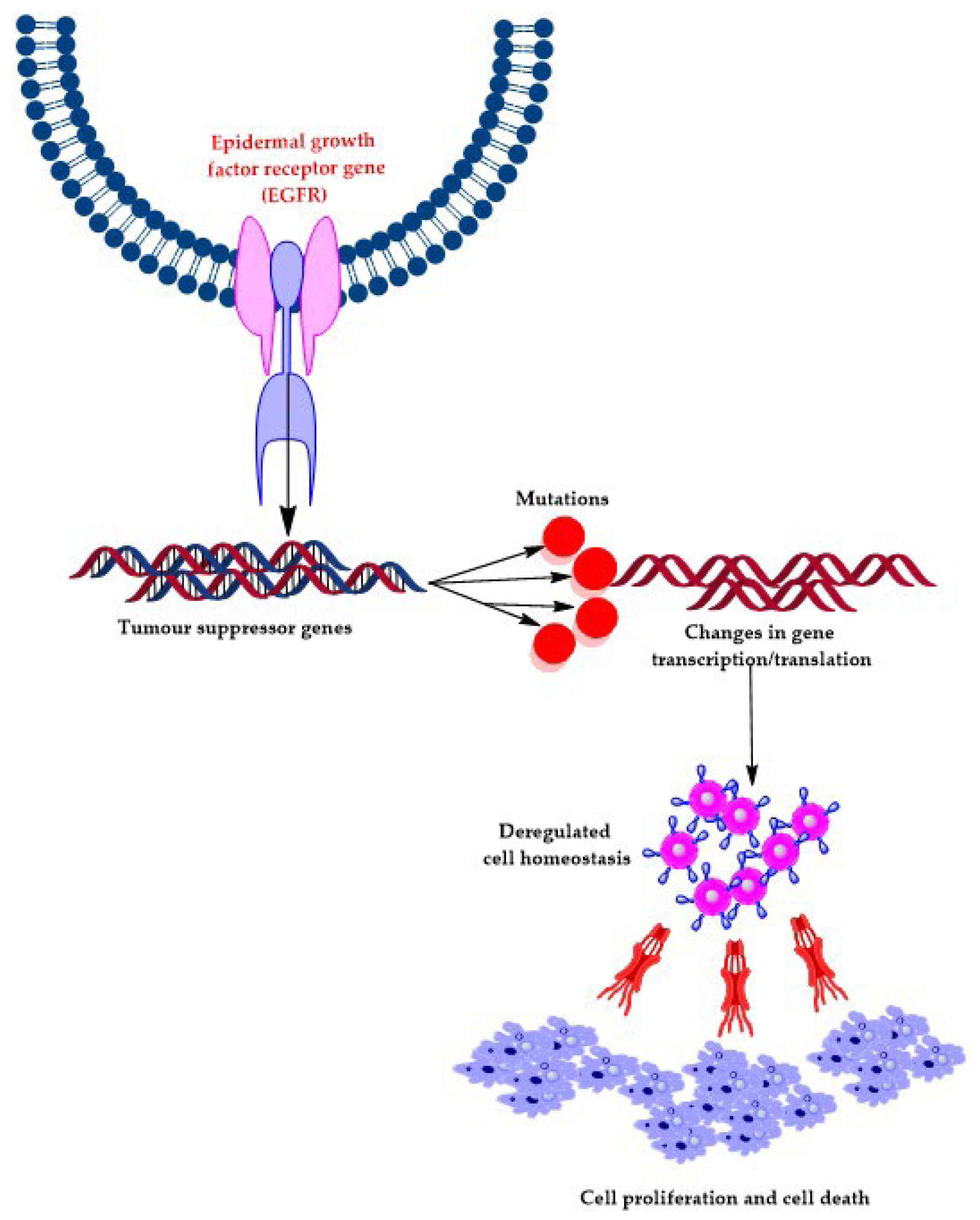 Pharmaceuticals 16 00517 g001 Pharmaceuticals 16 00517 g001