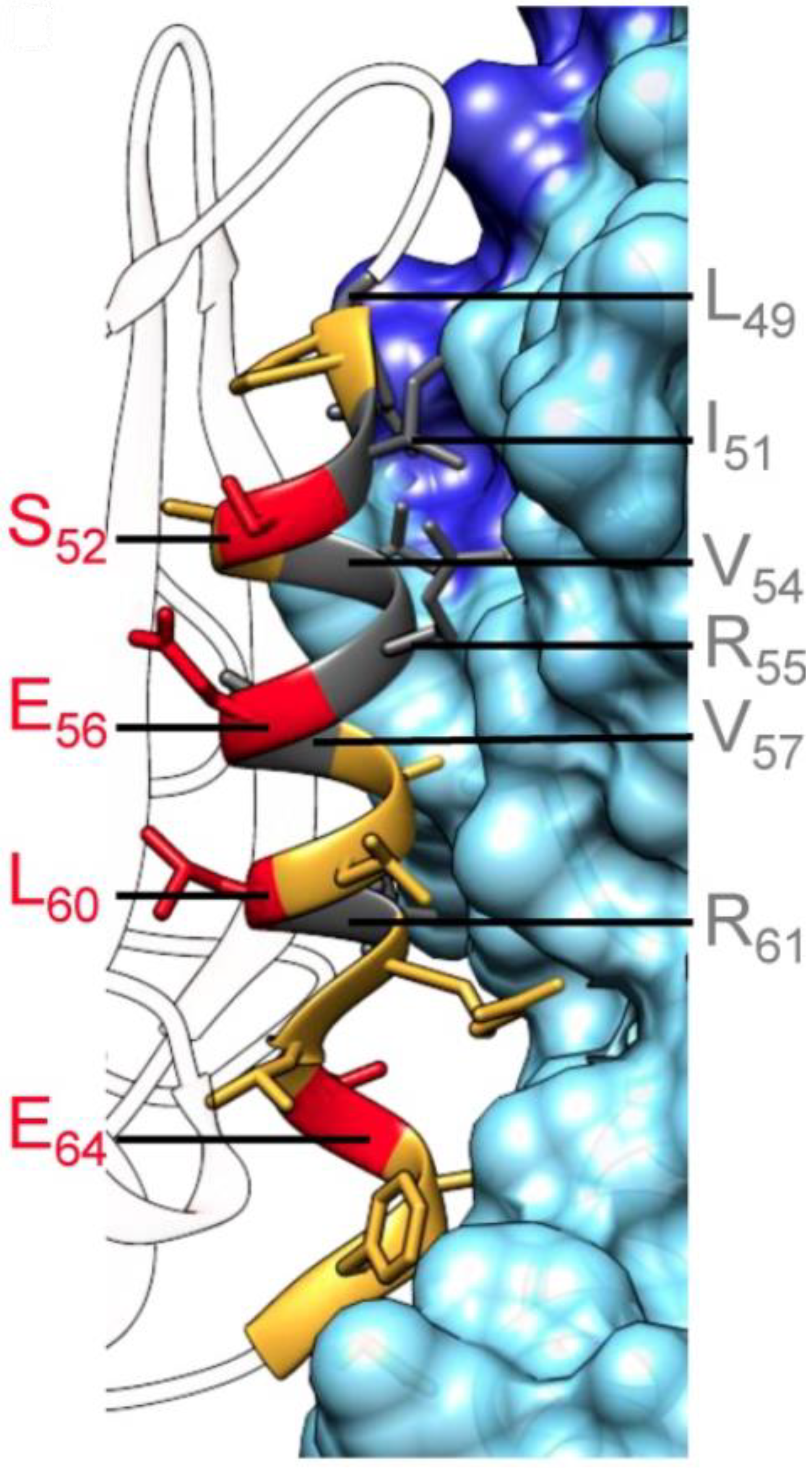 Pharmaceuticals 16 00519 g004
