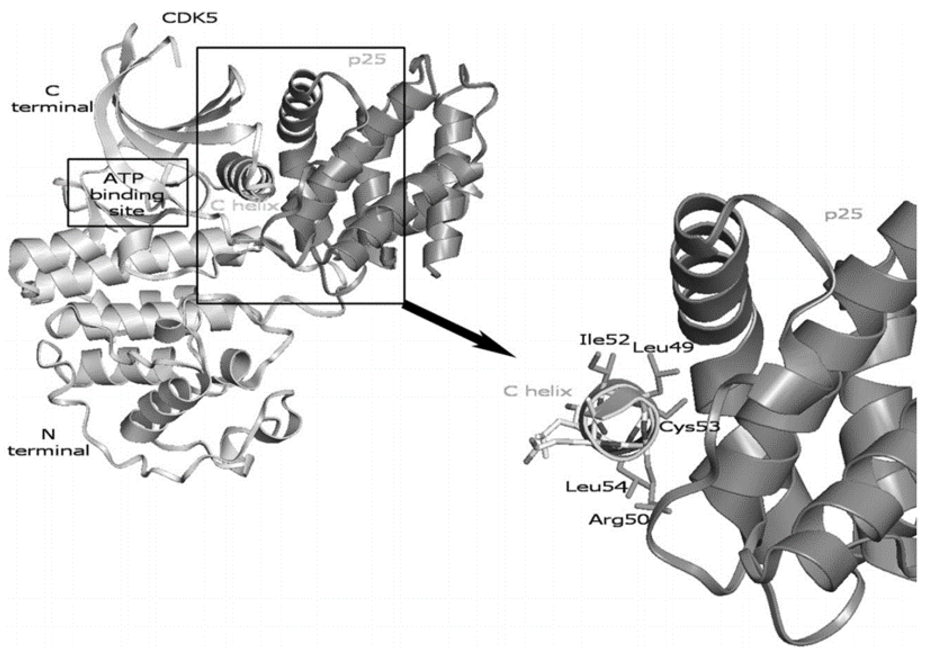 Pharmaceuticals 16 00519 g005