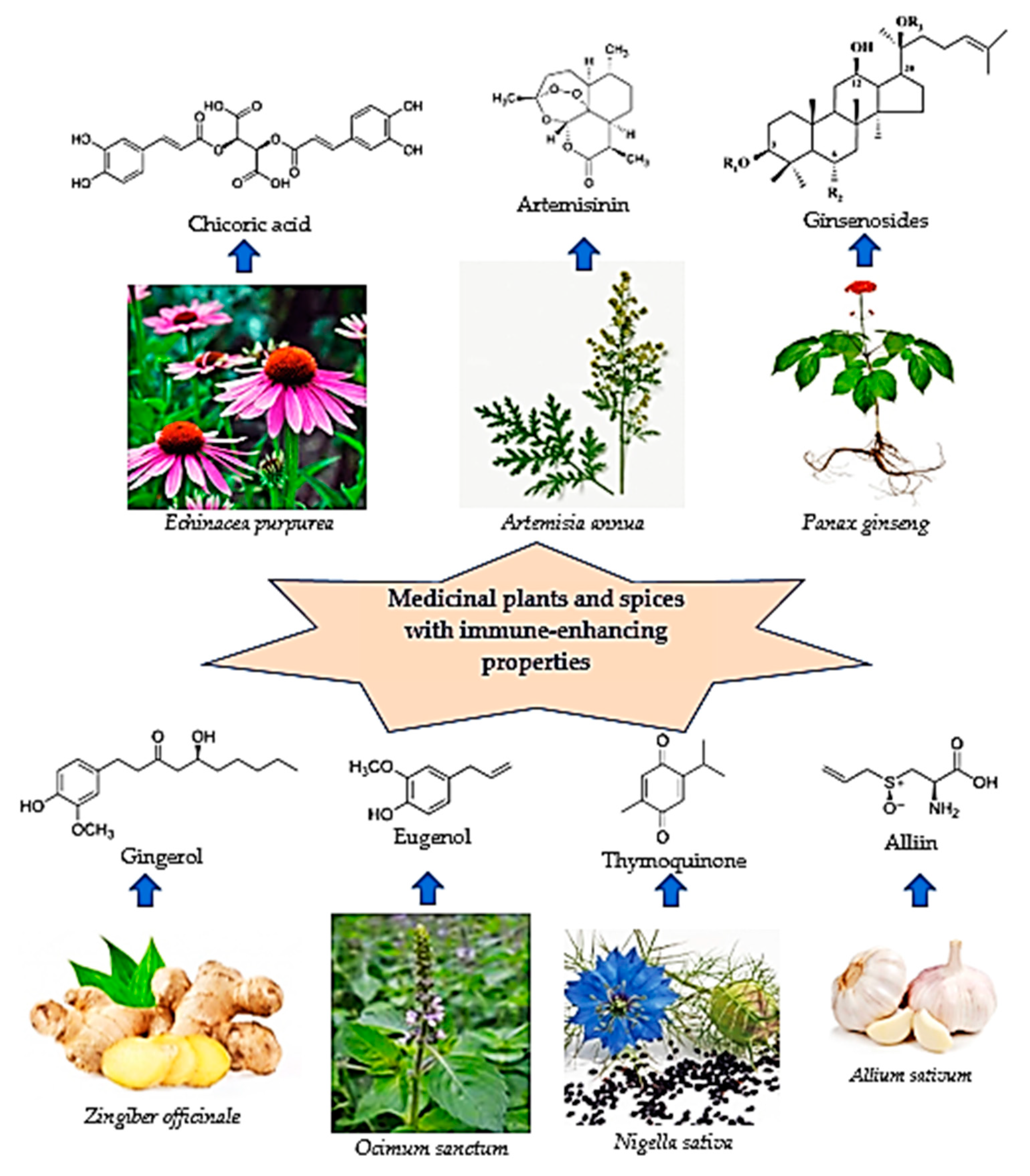 Pharmaceuticals 16 00528 g001 Pharmaceuticals 16 00528 g001