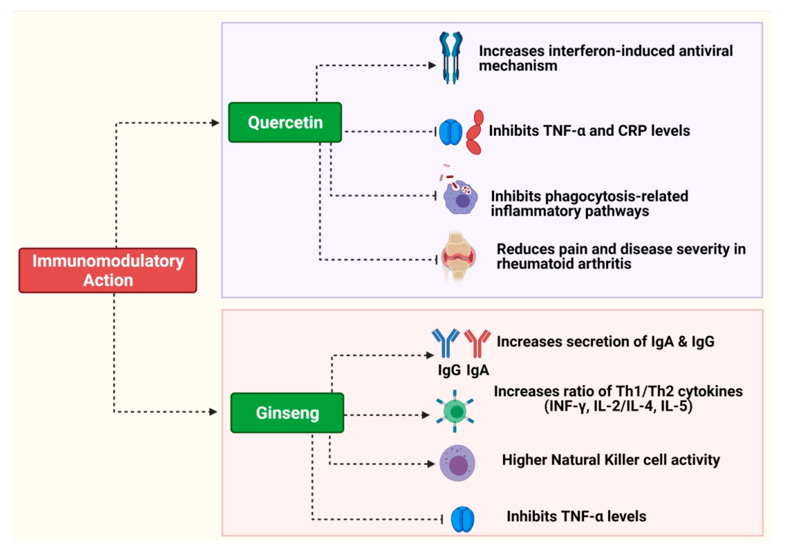 Pharmaceuticals 16 00528 g002 Pharmaceuticals 16 00528 g002