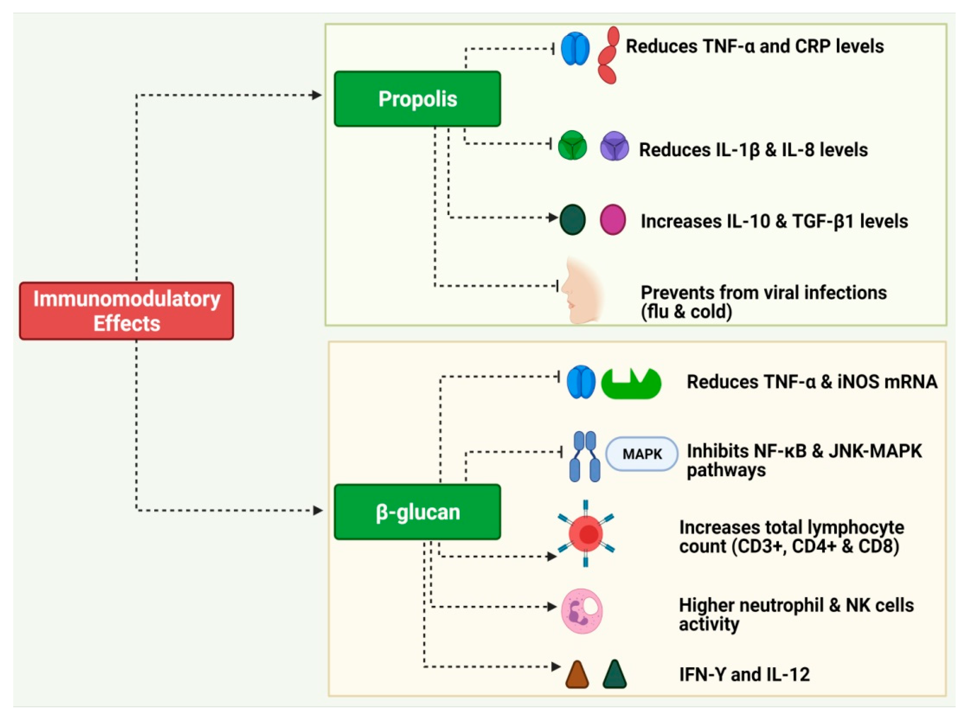 Pharmaceuticals 16 00528 g003 Pharmaceuticals 16 00528 g003