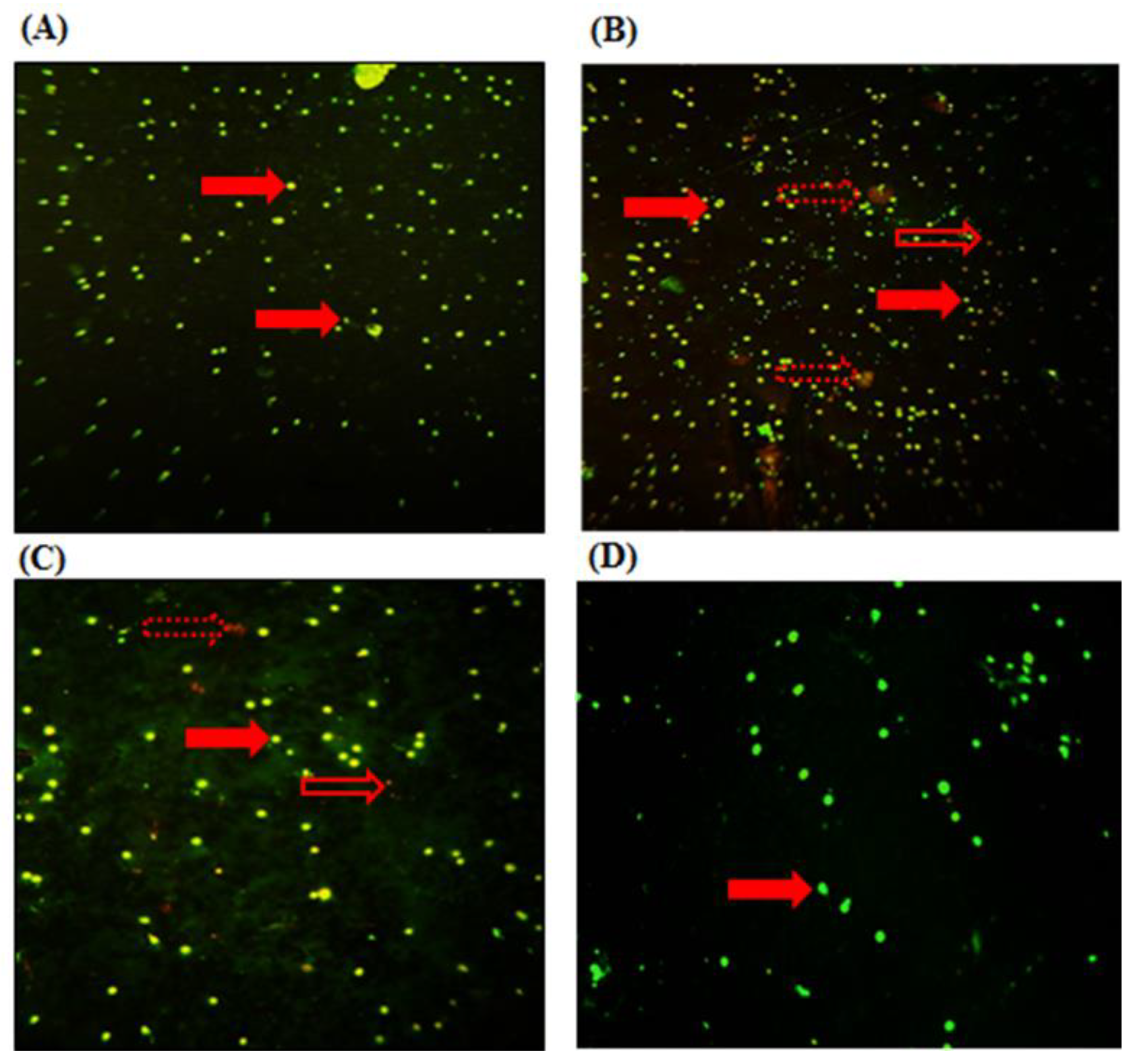 Pharmaceuticals 16 00529 g004 Pharmaceuticals 16 00529 g004