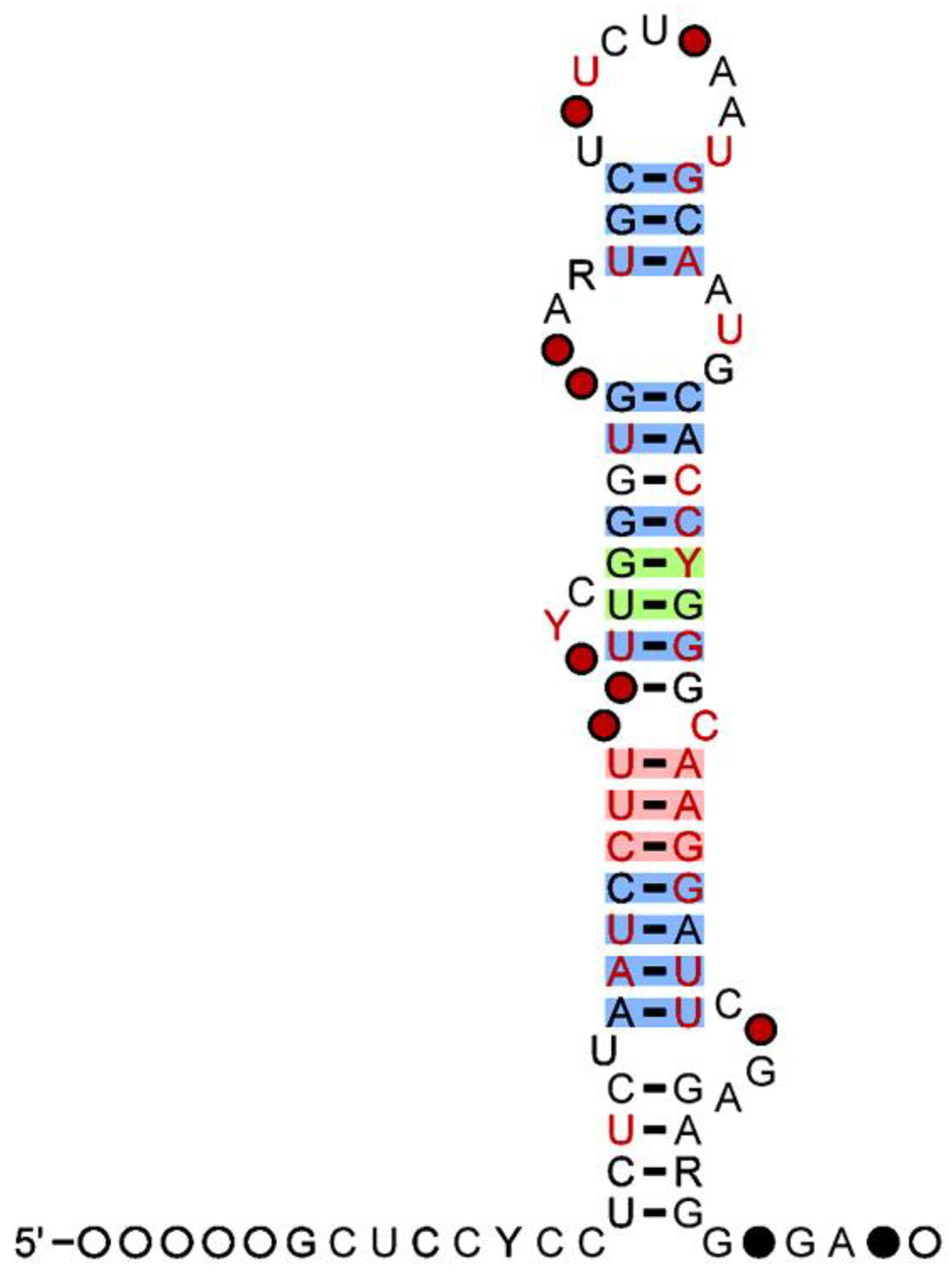 Pharmaceuticals 16 00532 g001