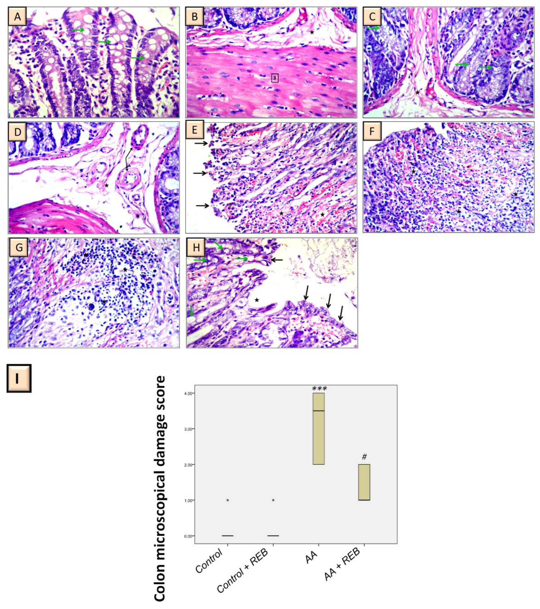 Pharmaceuticals 16 00533 g003