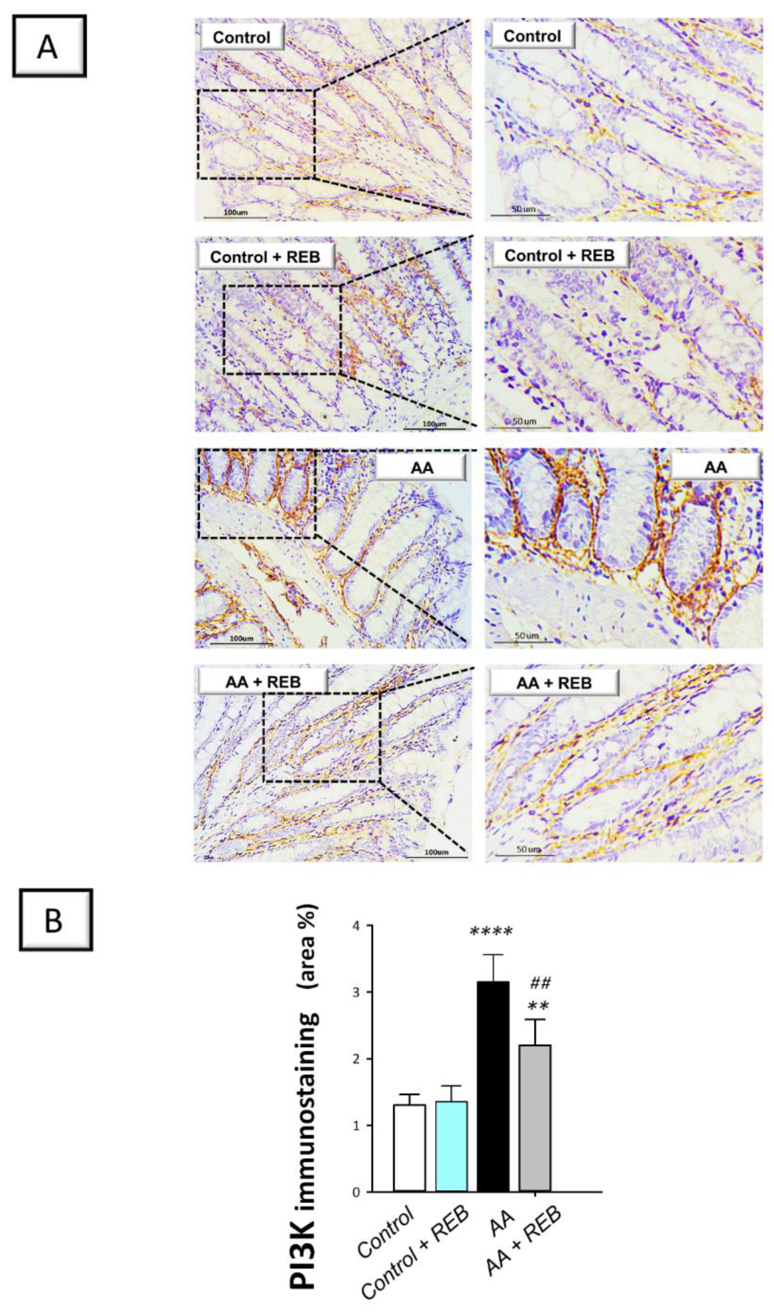 Pharmaceuticals 16 00533 g005