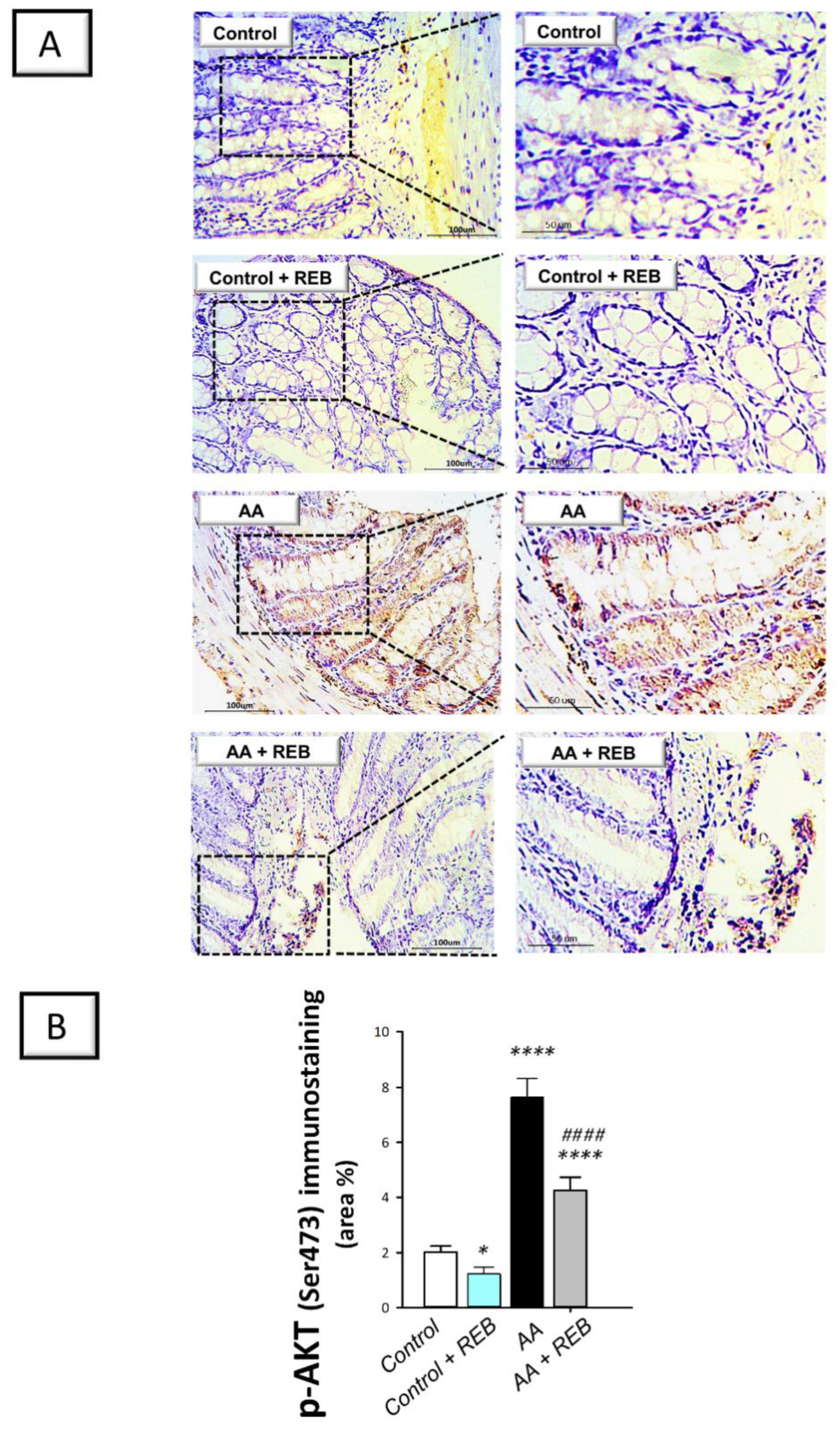 Pharmaceuticals 16 00533 g006
