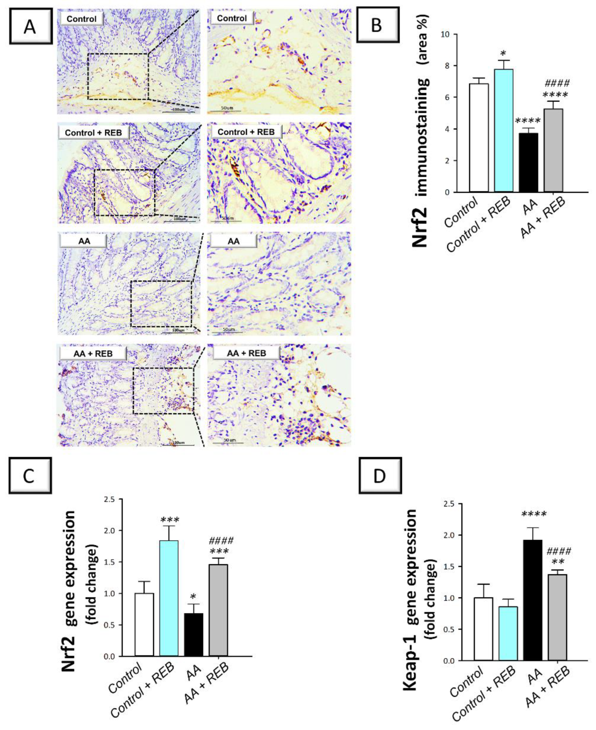 Pharmaceuticals 16 00533 g008