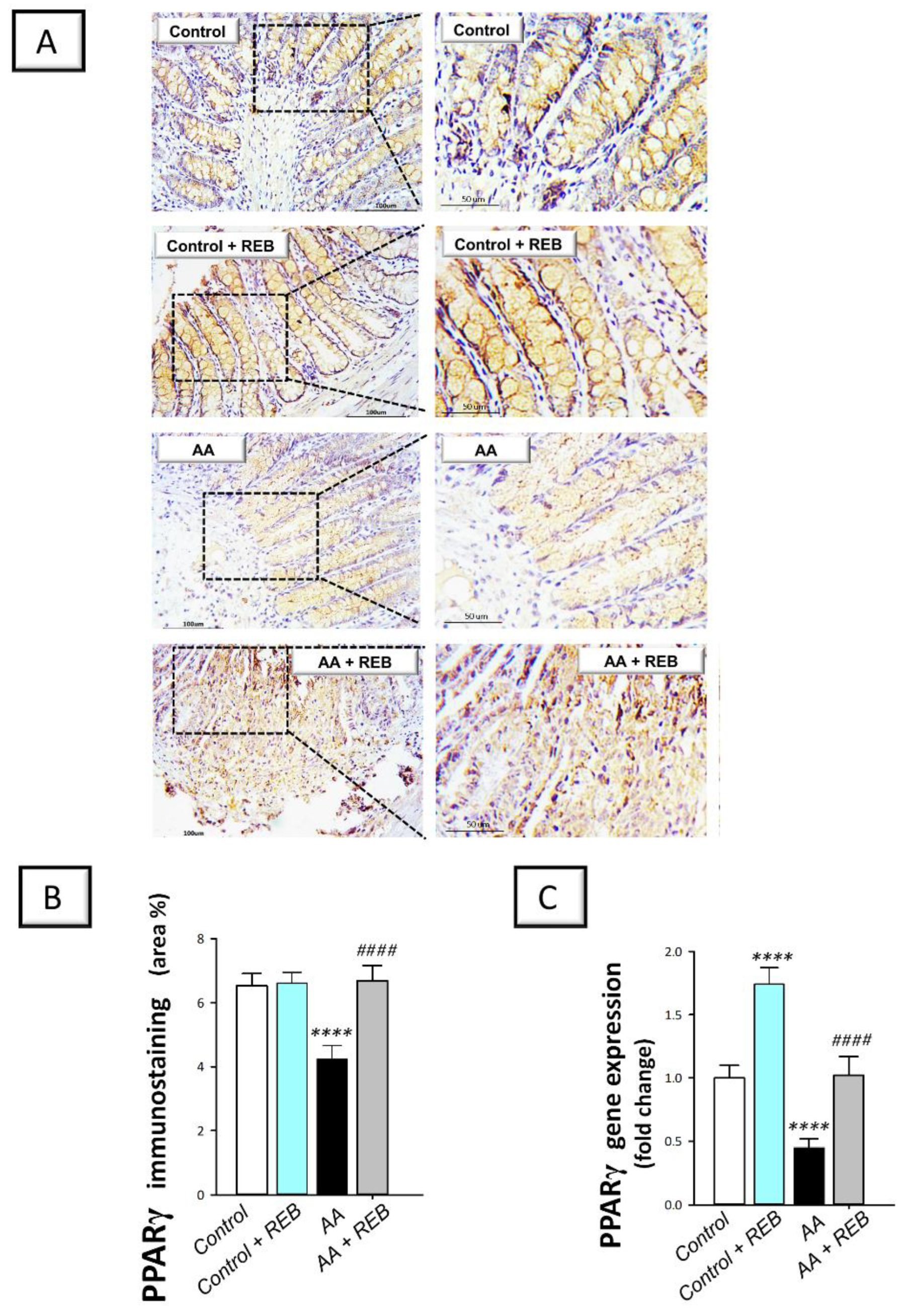 Pharmaceuticals 16 00533 g009