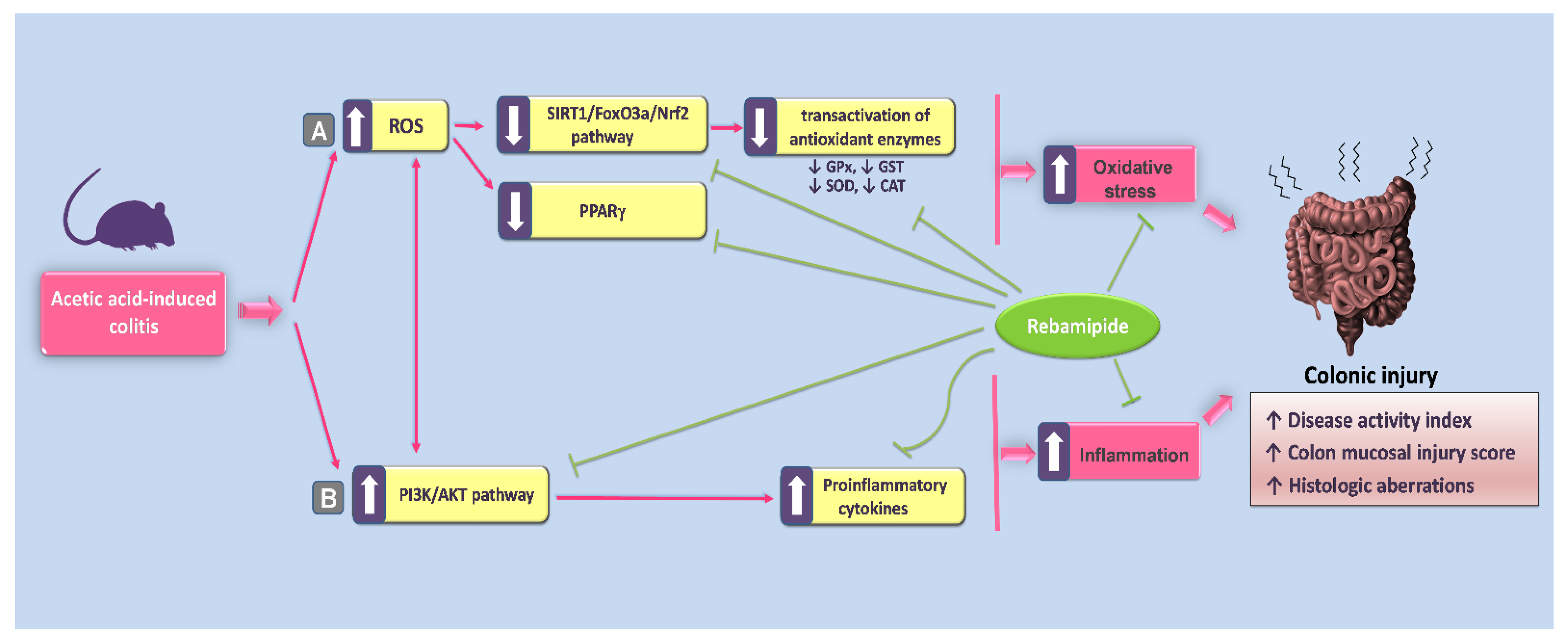 Pharmaceuticals 16 00533 g011