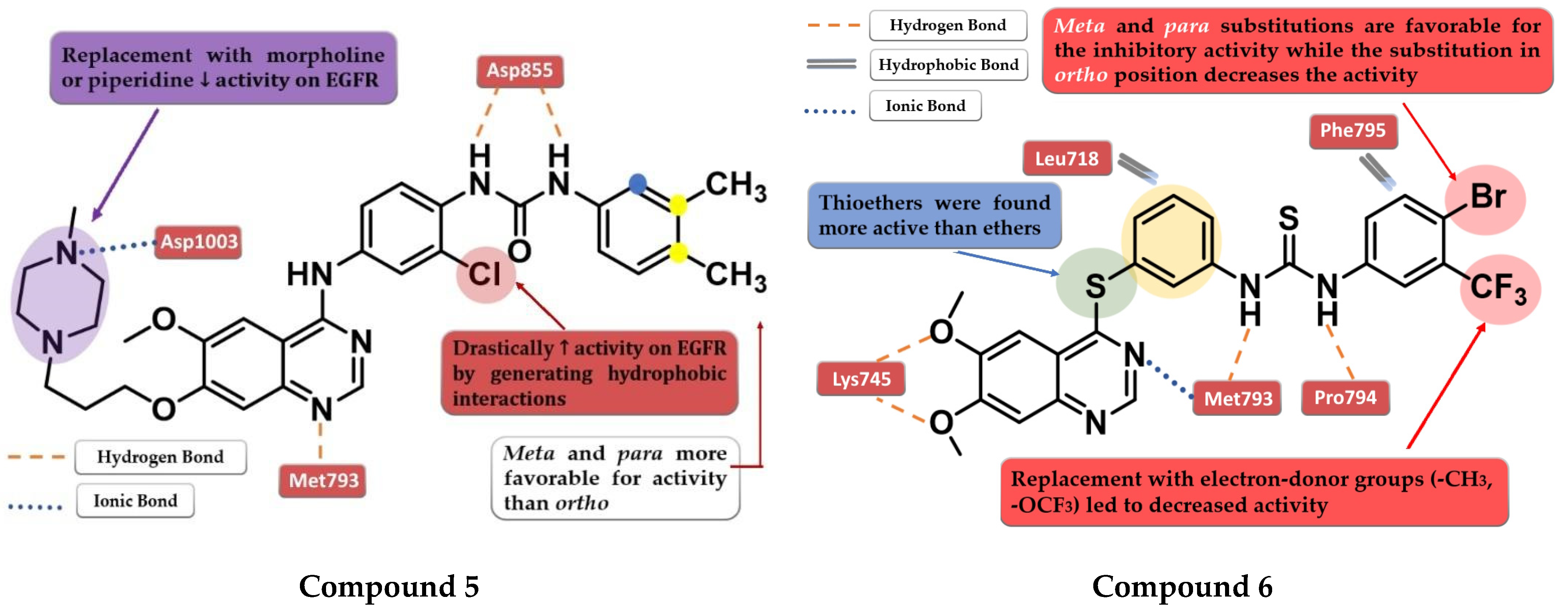 Pharmaceuticals 16 00534 g005