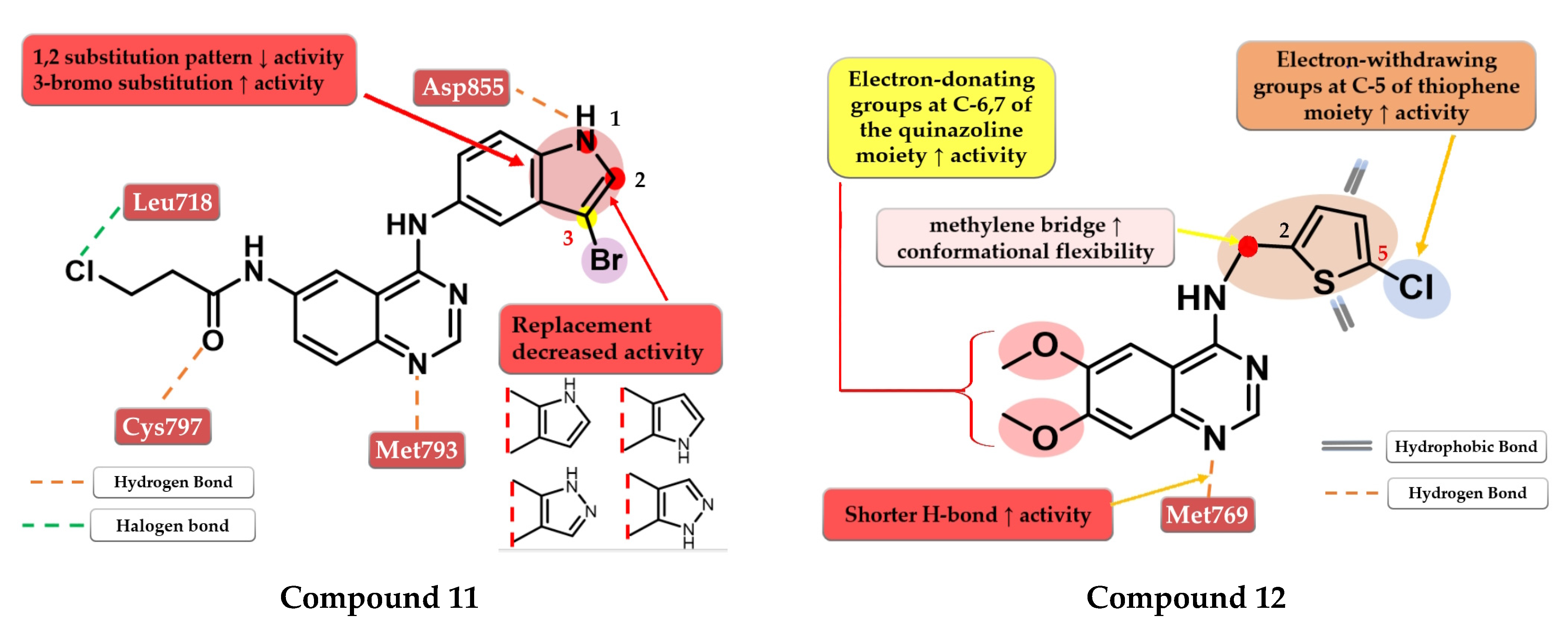 Pharmaceuticals 16 00534 g008