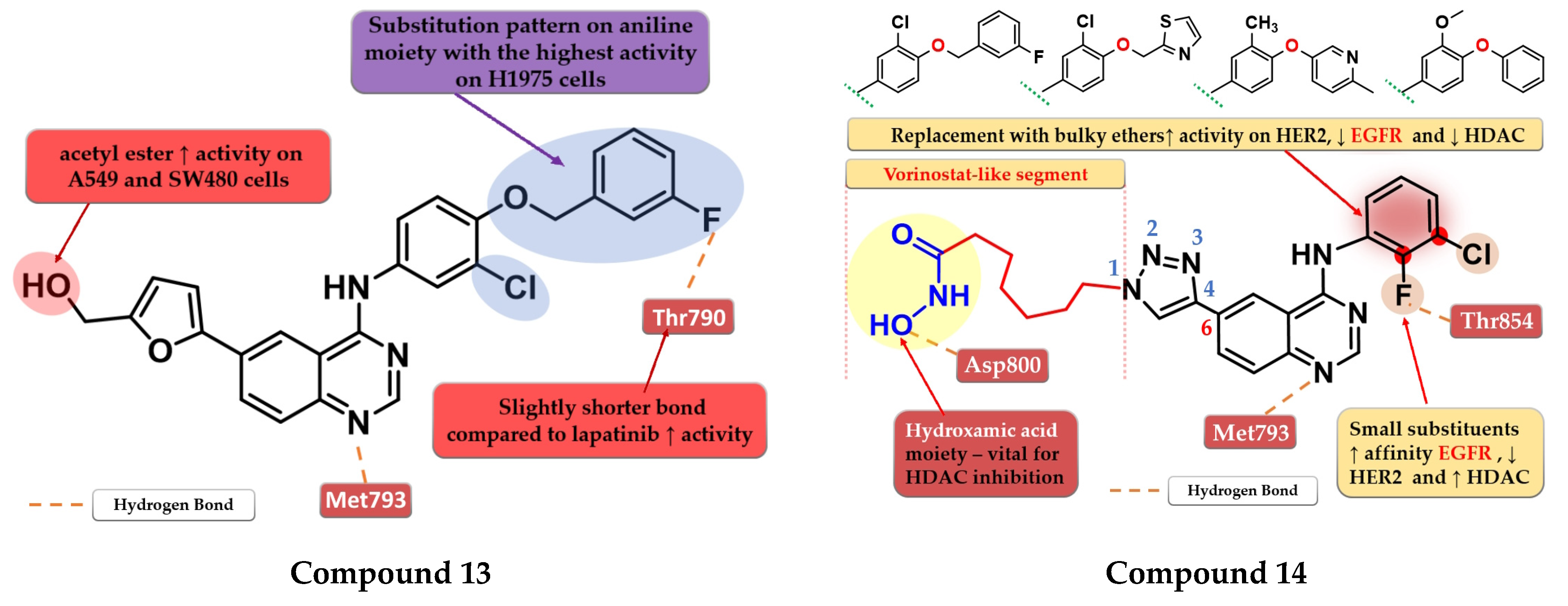 Pharmaceuticals 16 00534 g009