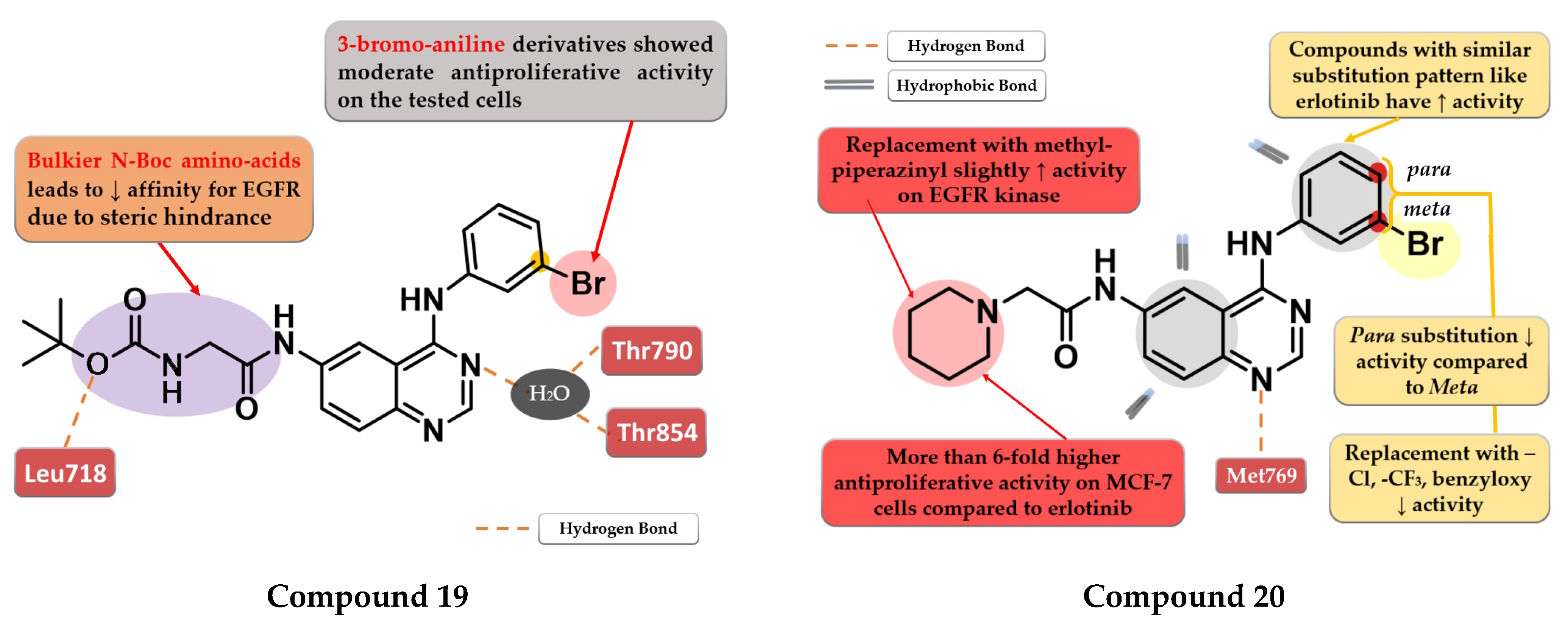 Pharmaceuticals 16 00534 g012