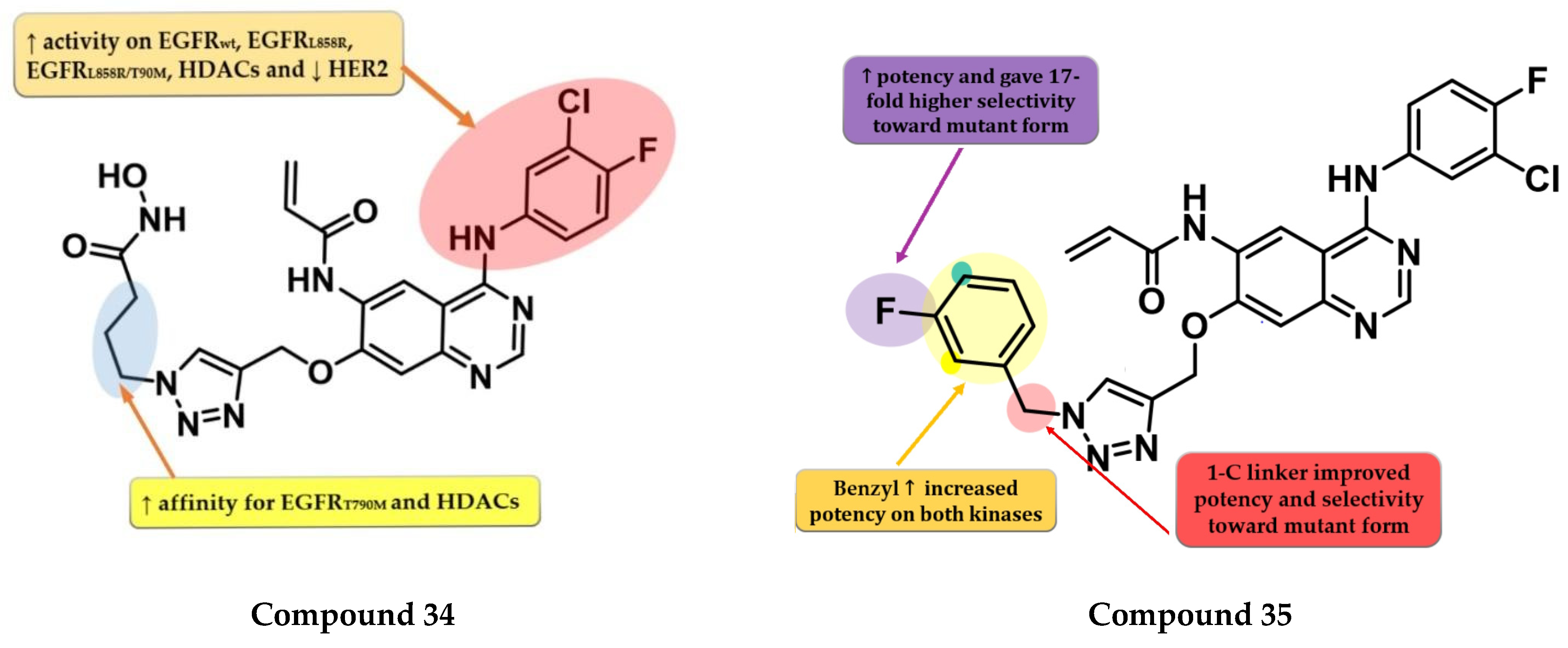 Pharmaceuticals 16 00534 g023