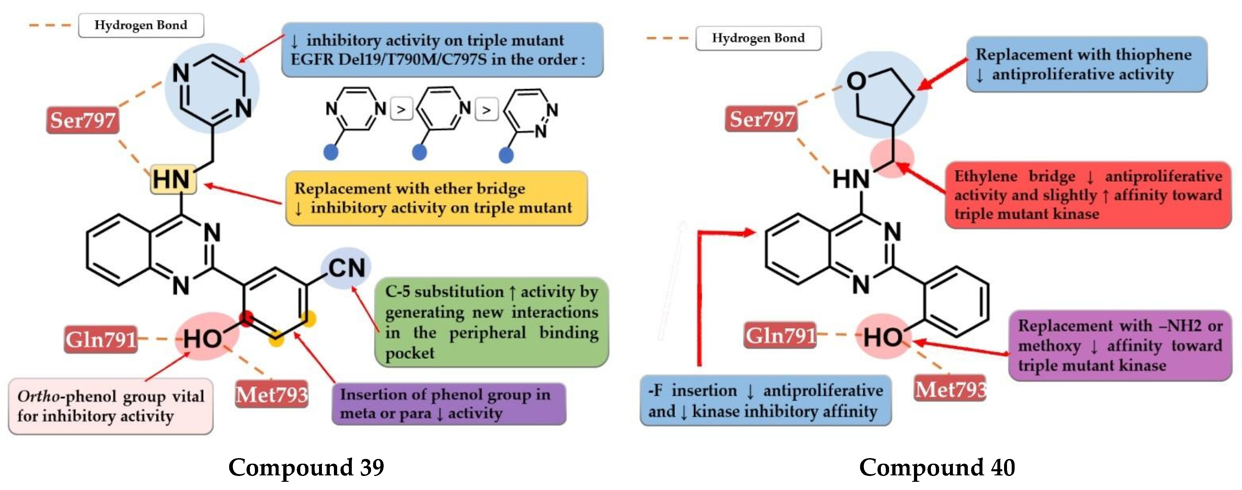 Pharmaceuticals 16 00534 g028
