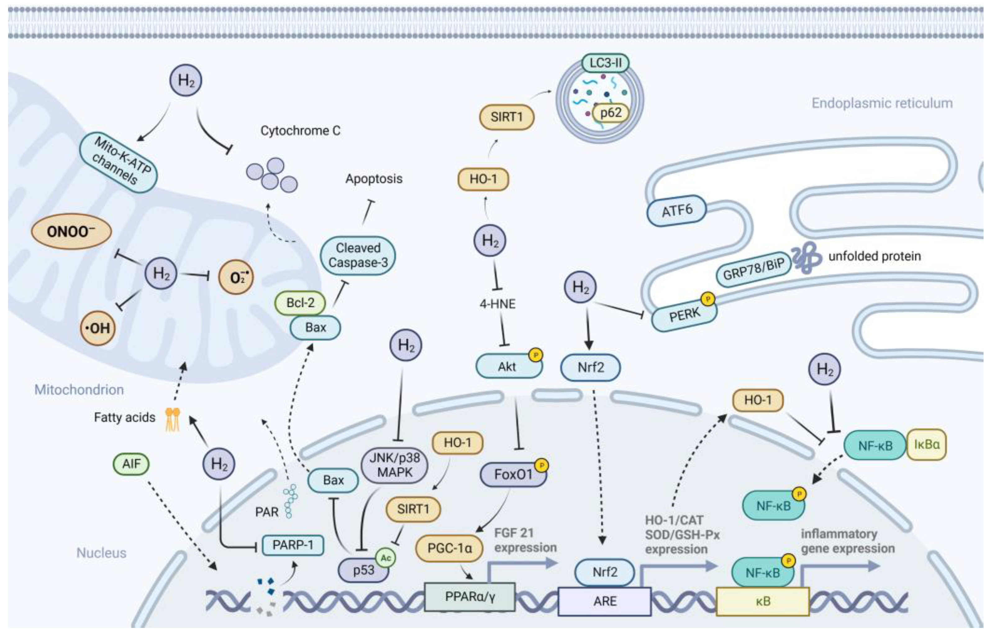 Pharmaceuticals 16 00541 g003