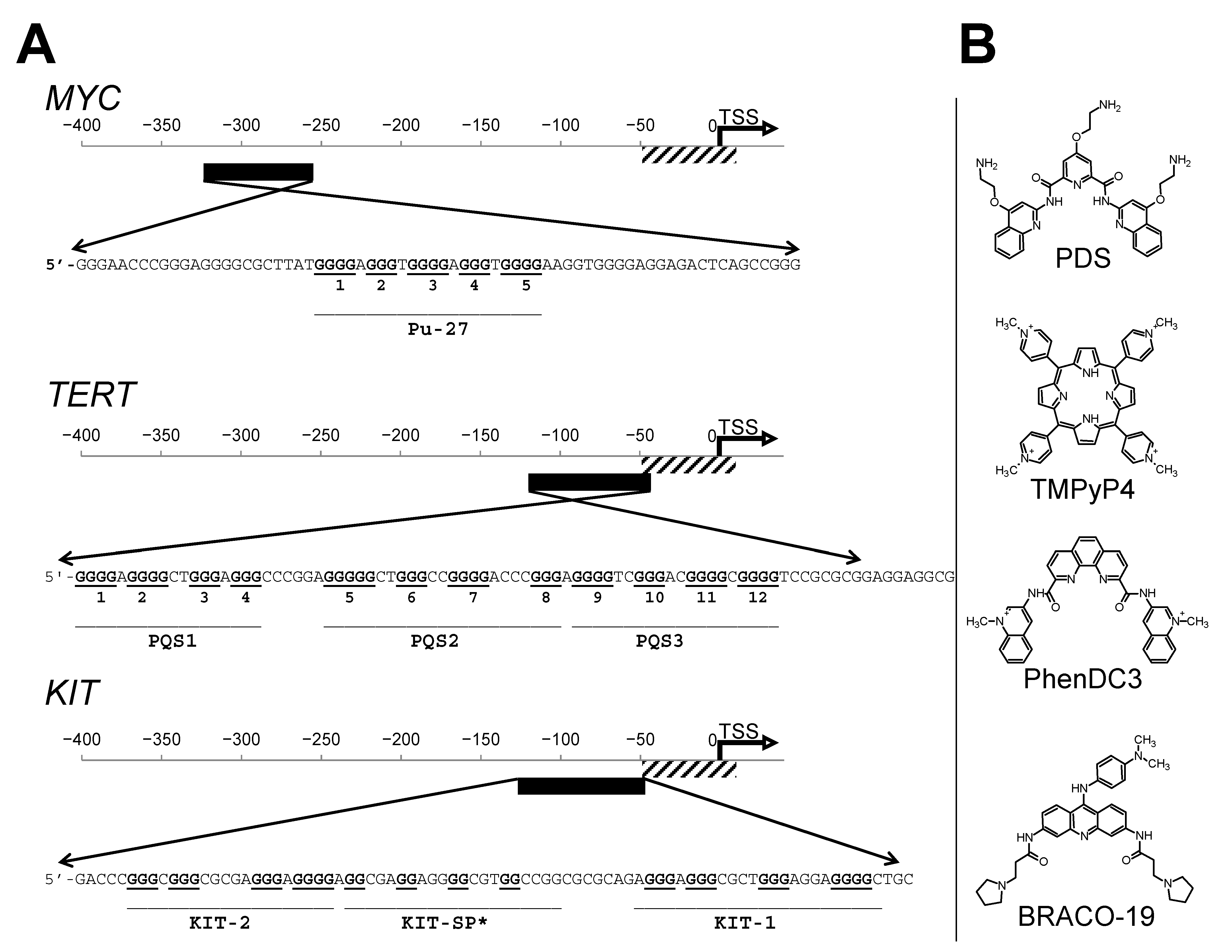 Pharmaceuticals 16 00544 g001 Pharmaceuticals 16 00544 g001