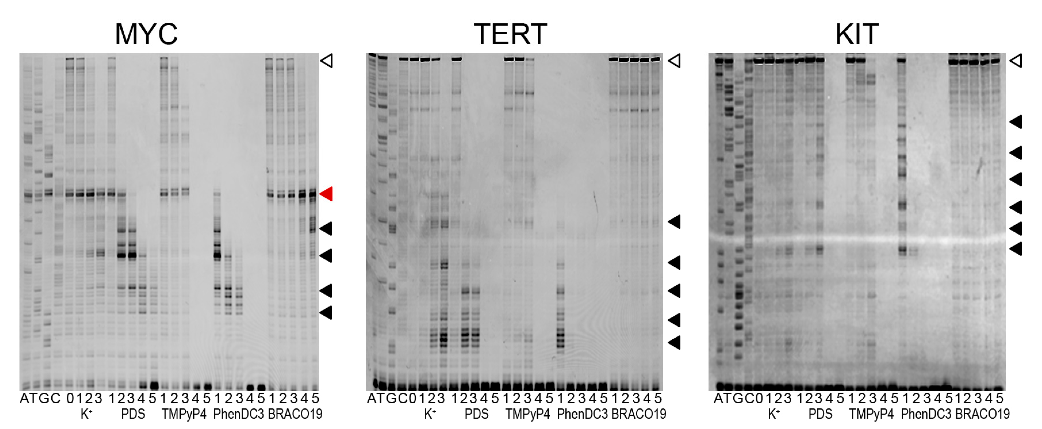 Pharmaceuticals 16 00544 g002 Pharmaceuticals 16 00544 g002