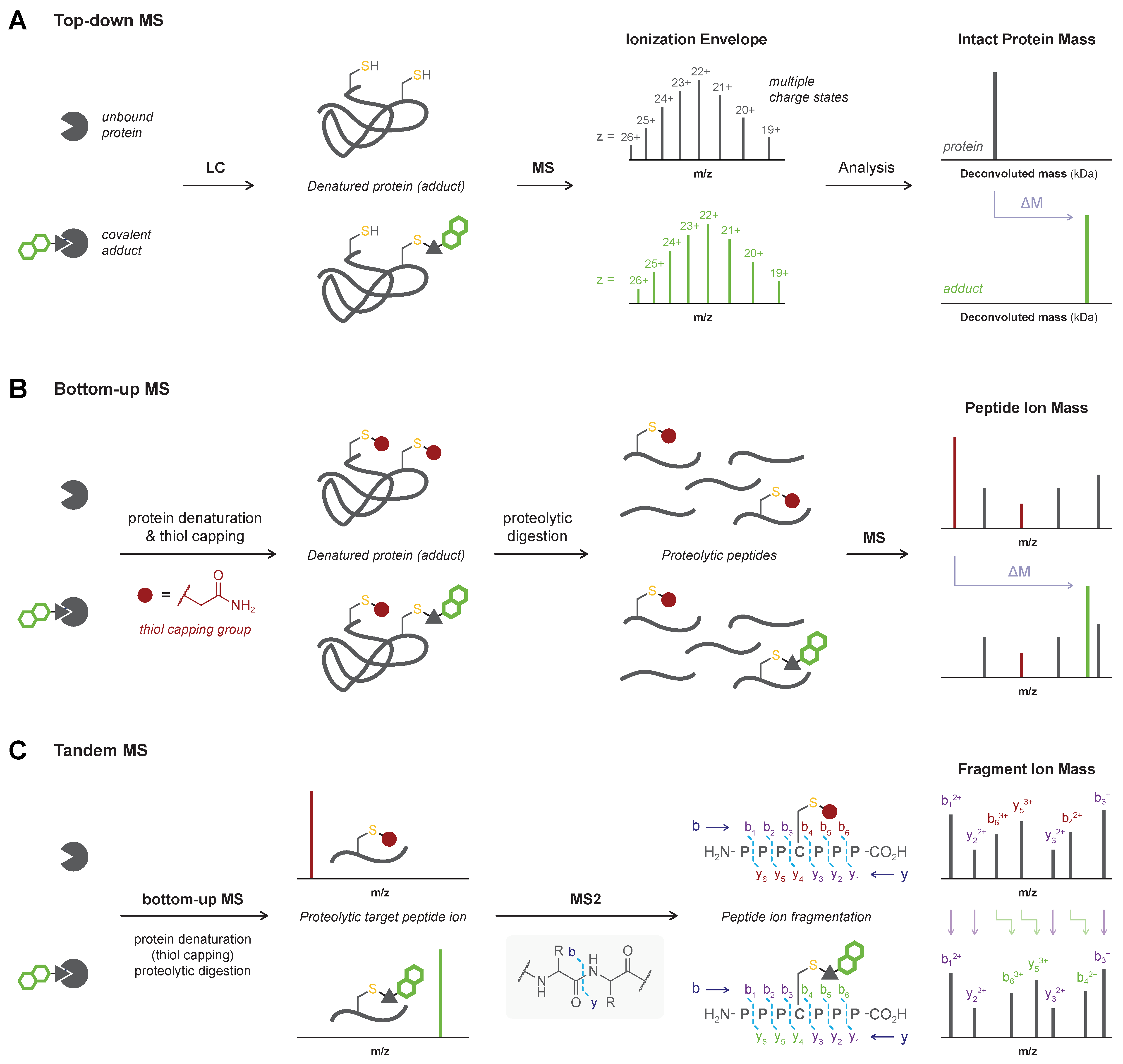 Pharmaceuticals 16 00547 g002