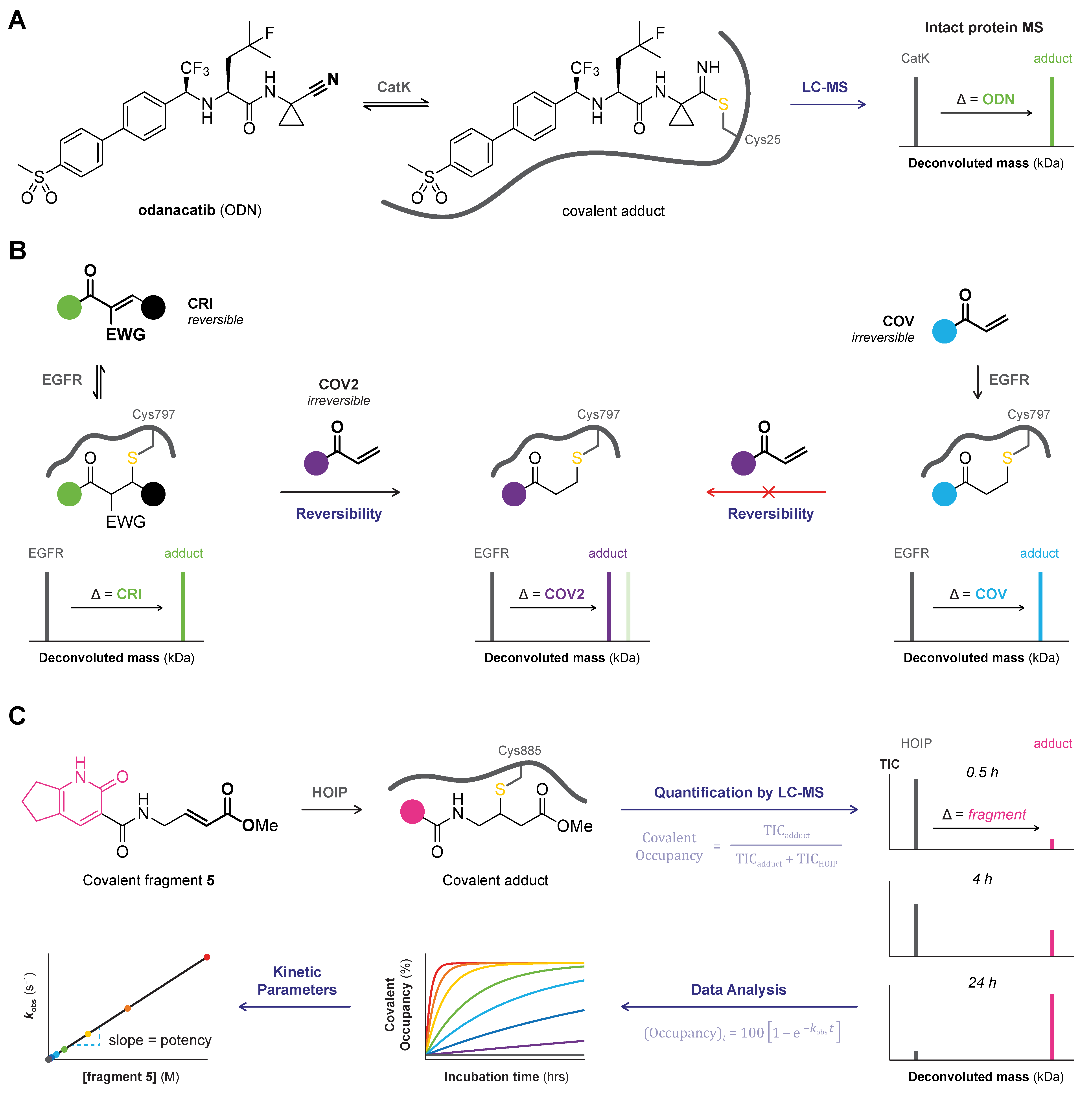 Pharmaceuticals 16 00547 g003