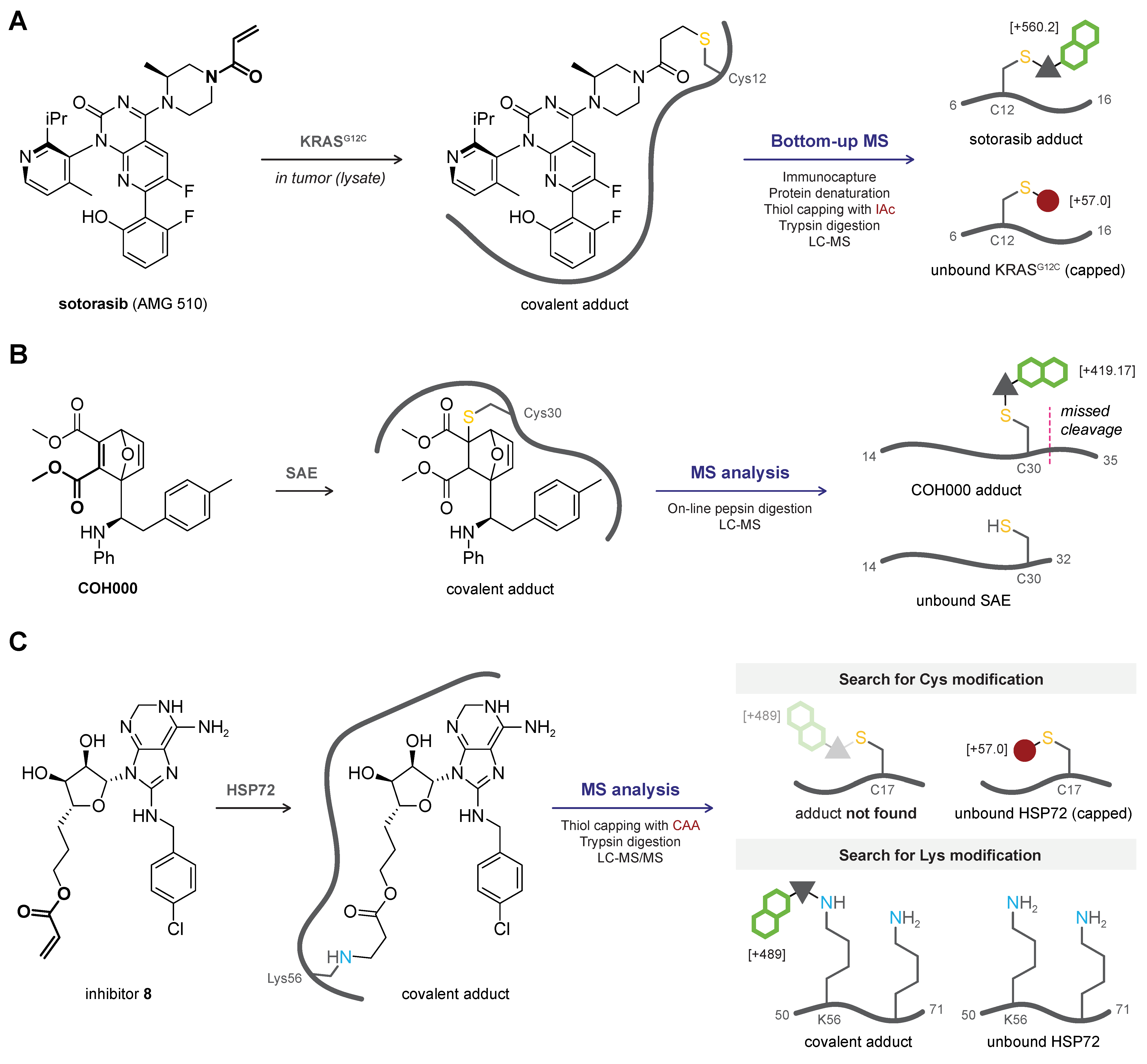 Pharmaceuticals 16 00547 g004