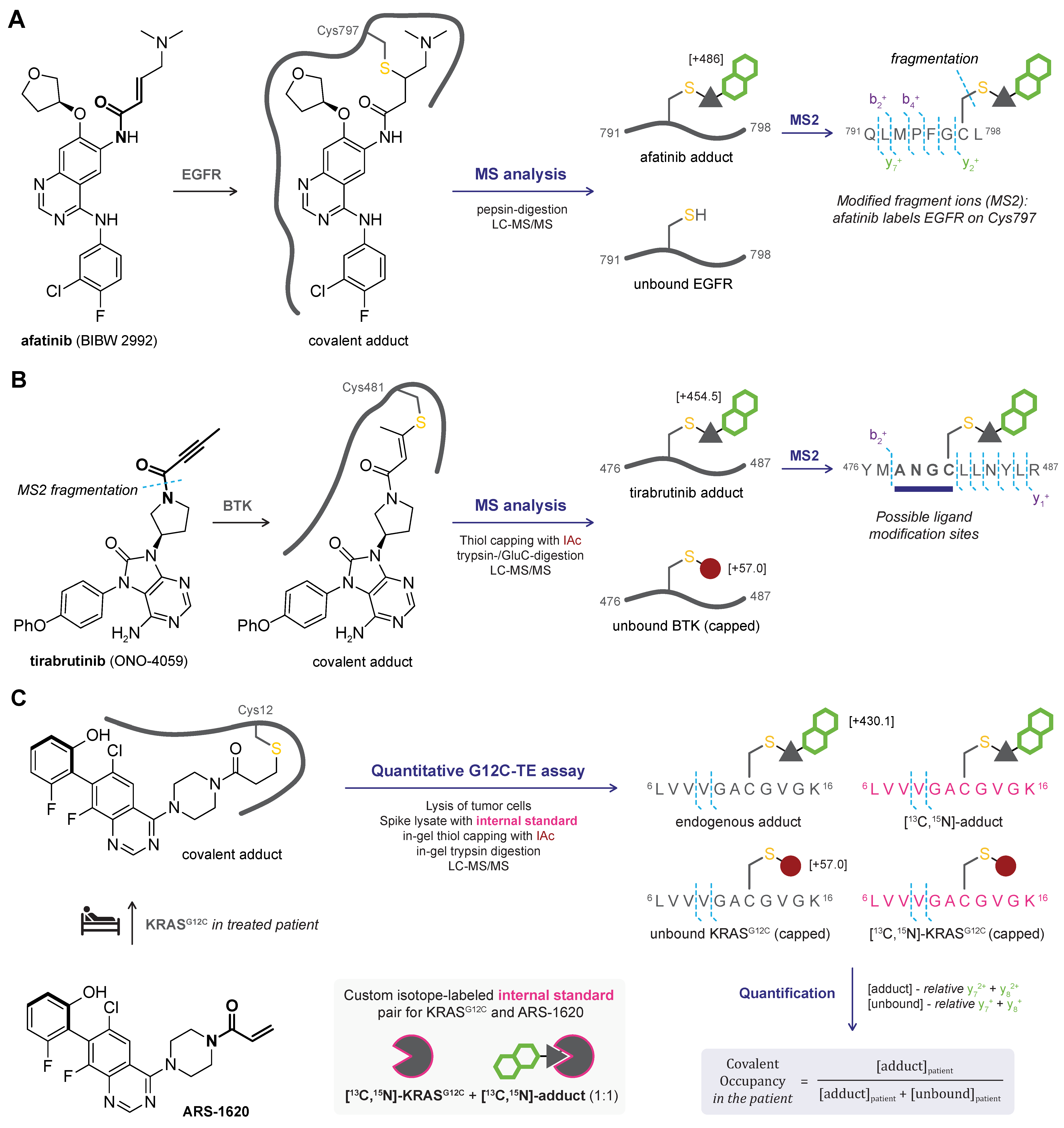 Pharmaceuticals 16 00547 g005