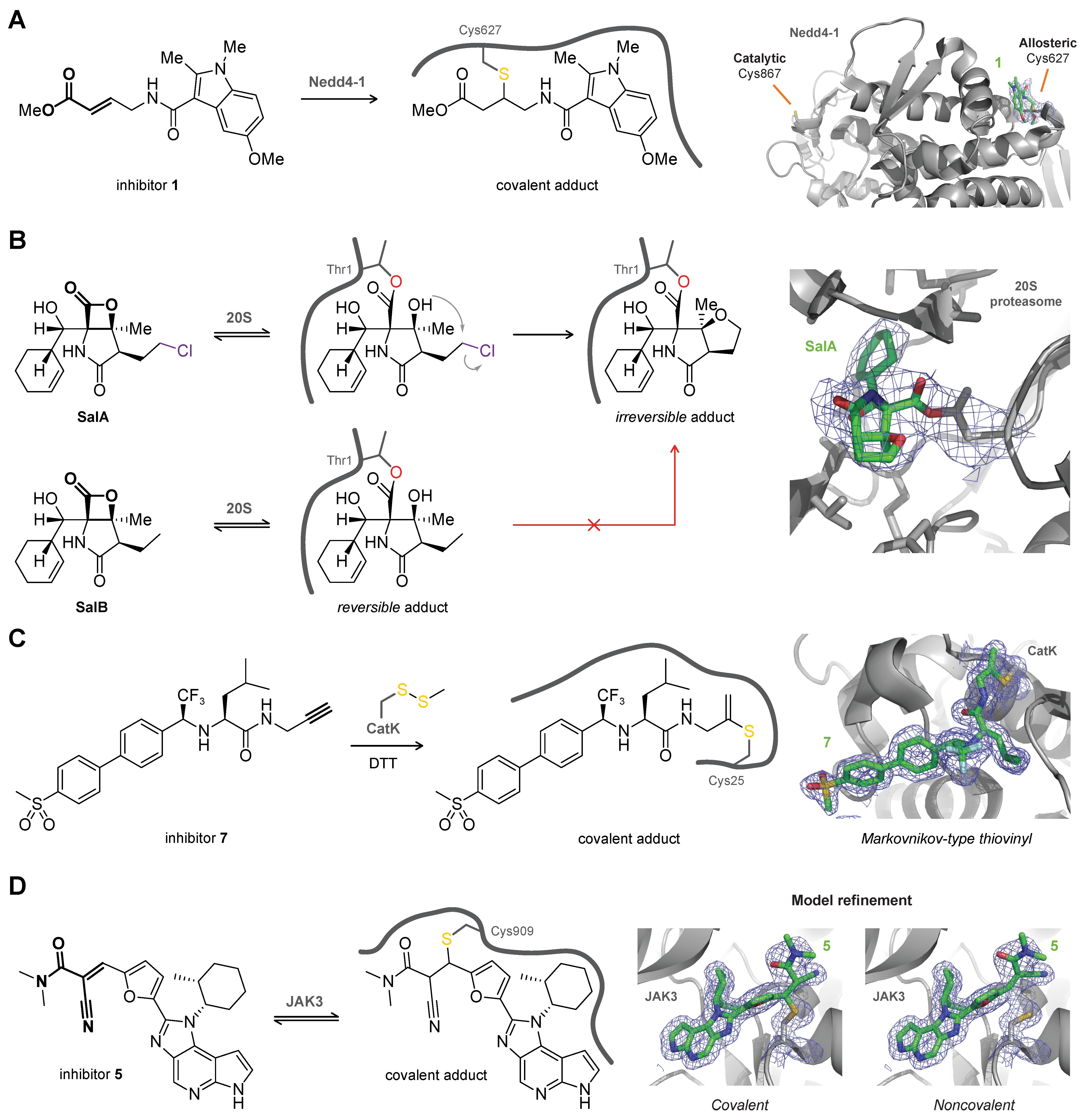 Pharmaceuticals 16 00547 g006