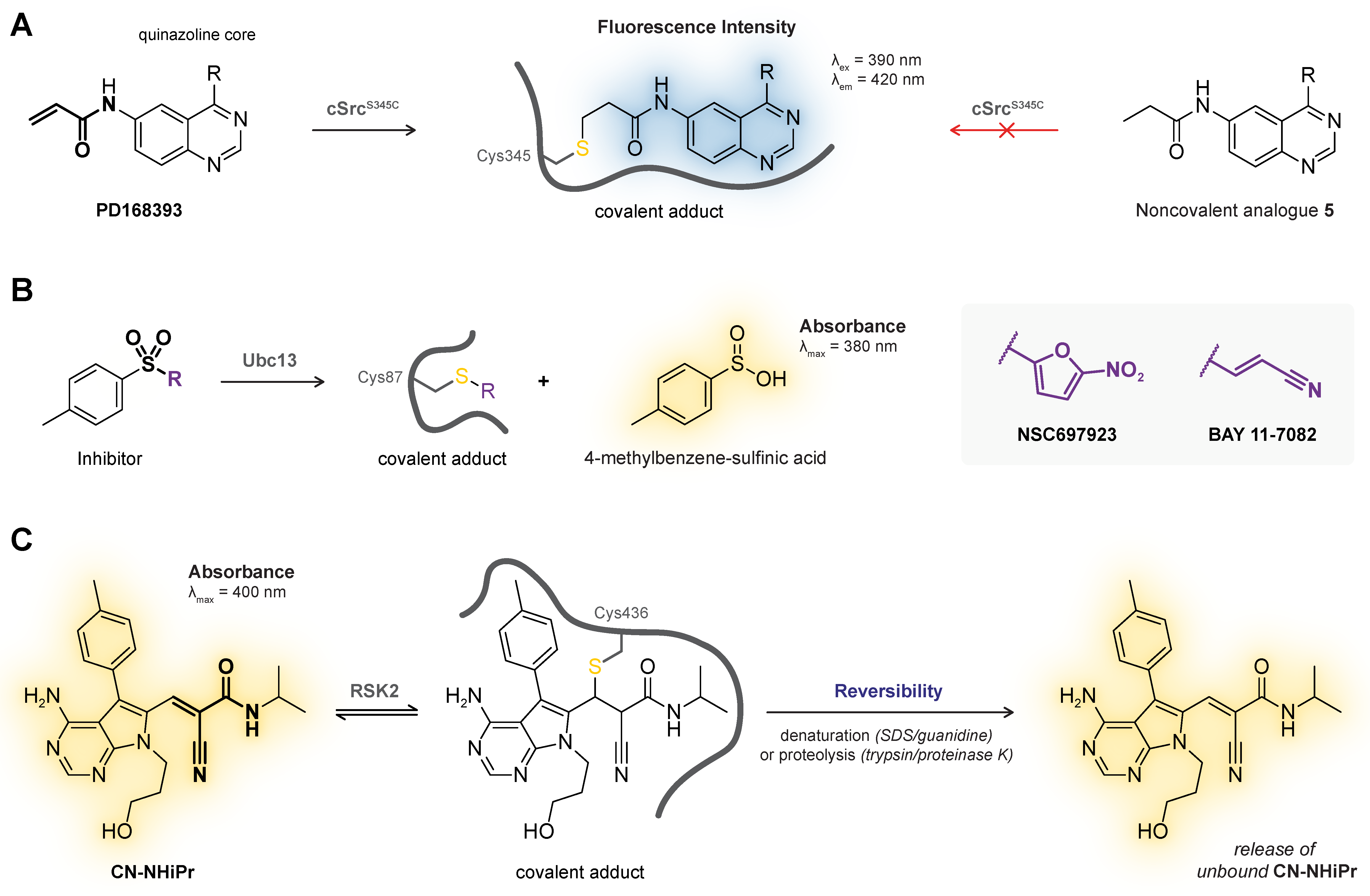 Pharmaceuticals 16 00547 g007