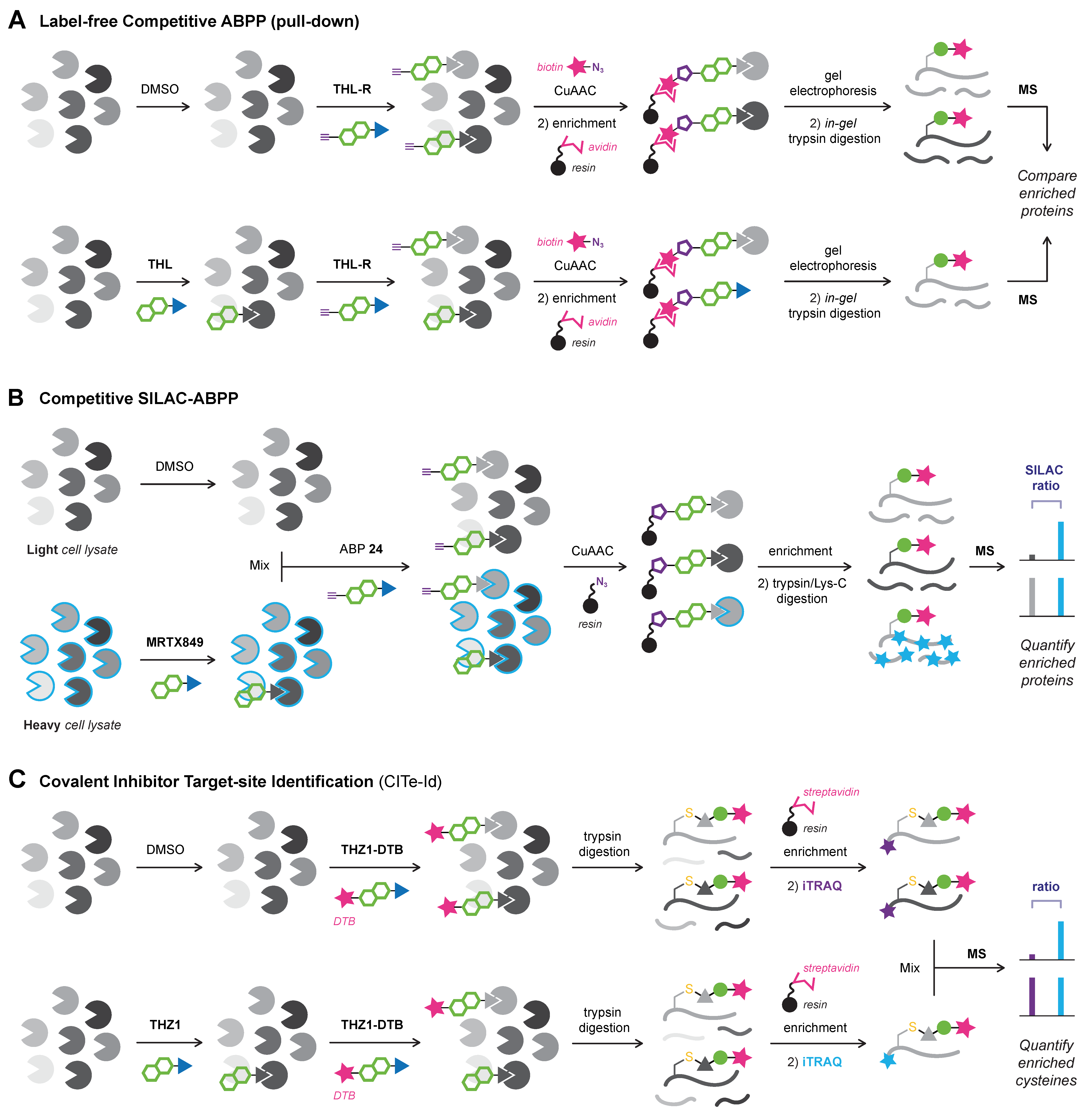 Pharmaceuticals 16 00547 g011