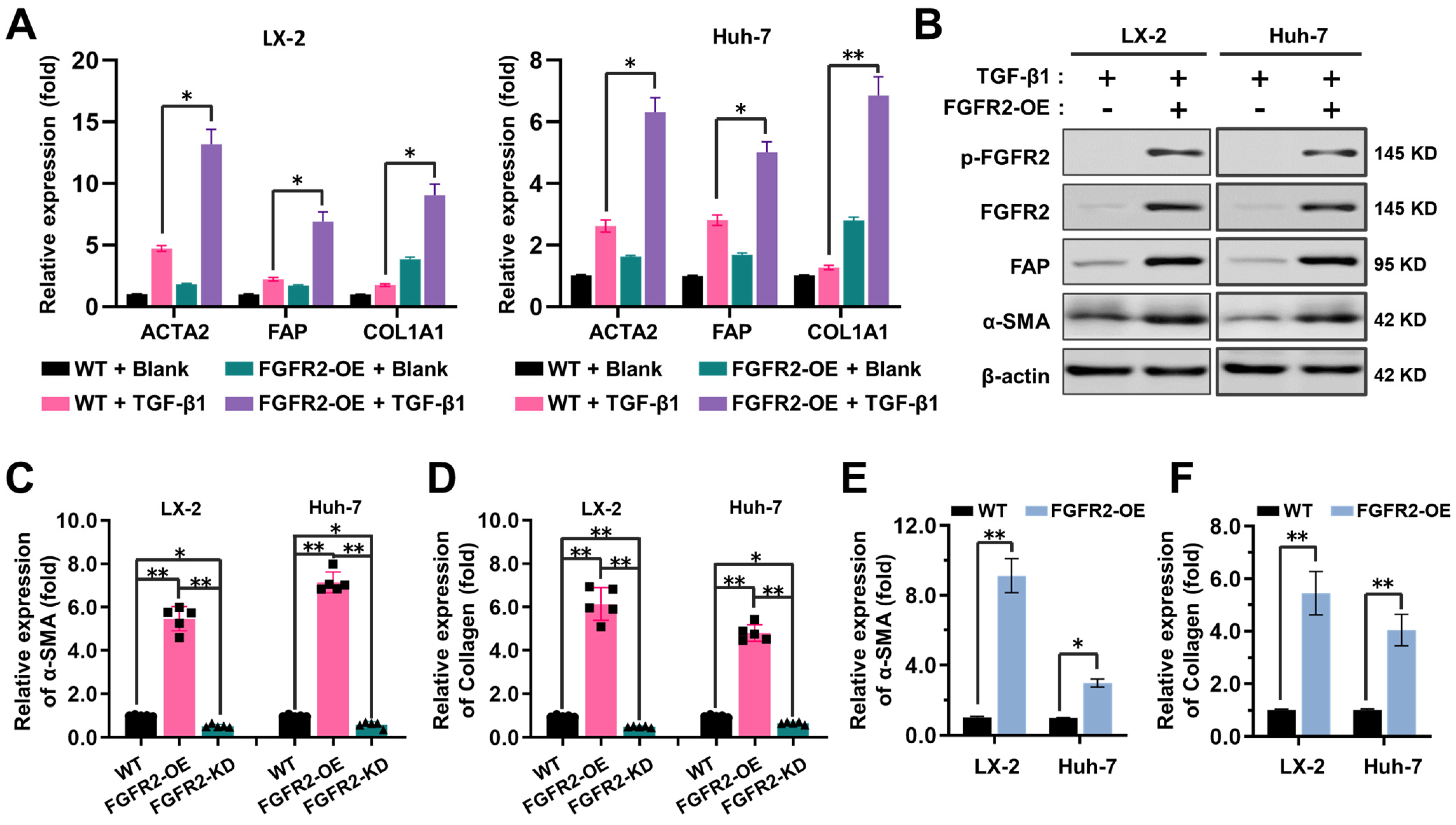 Pharmaceuticals 16 00548 g002 Pharmaceuticals 16 00548 g002