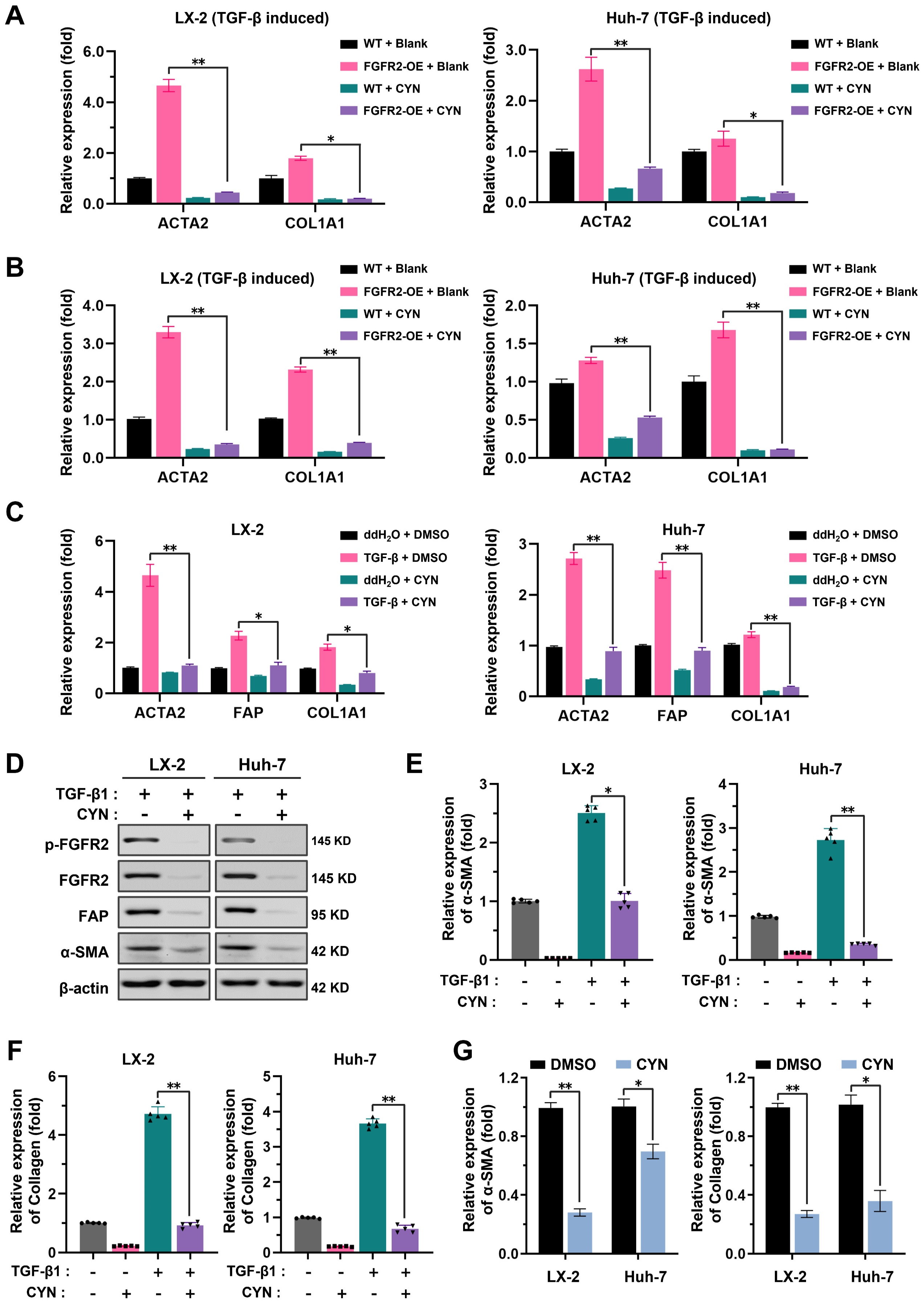 Pharmaceuticals 16 00548 g004 Pharmaceuticals 16 00548 g004