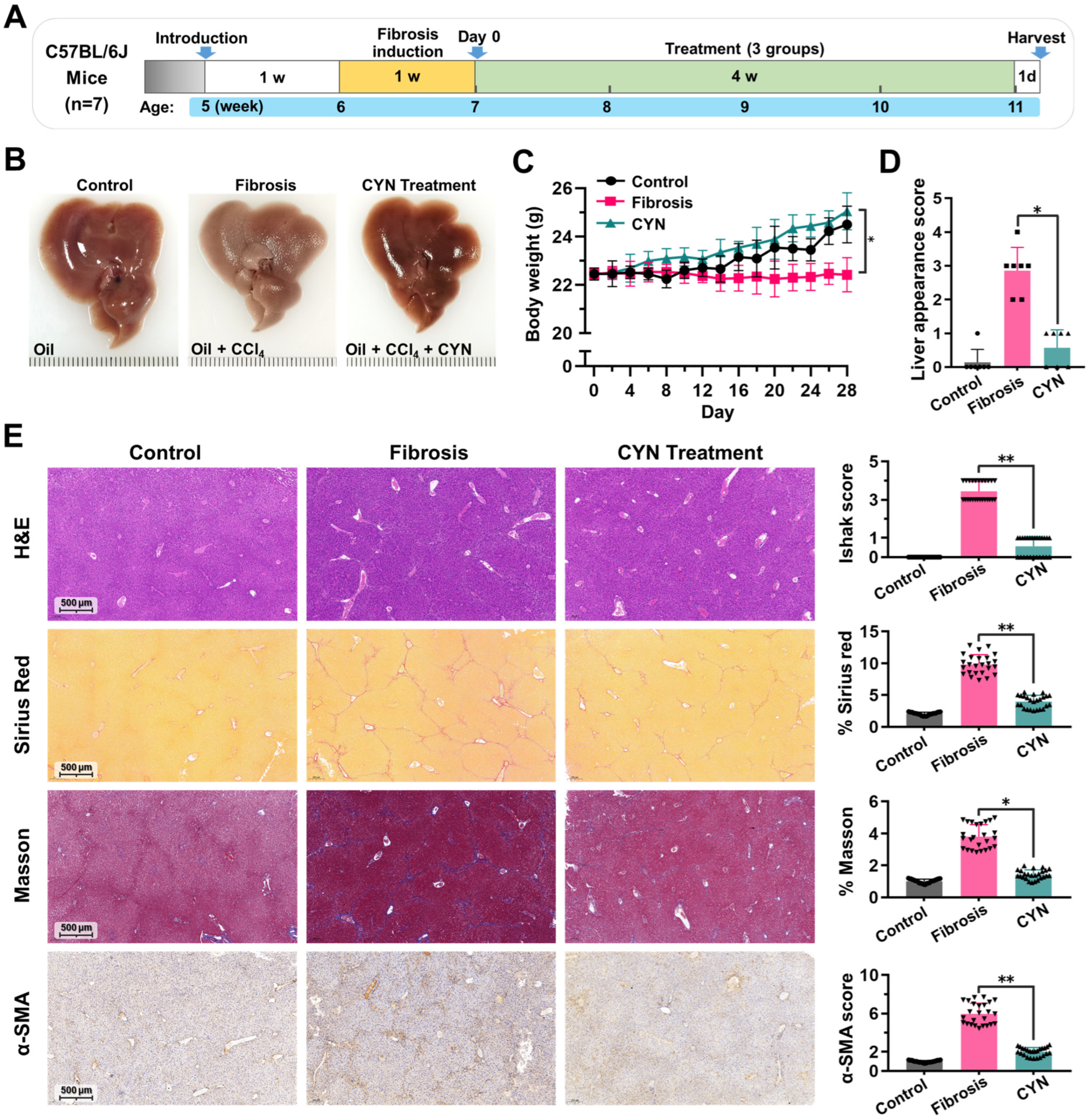 Pharmaceuticals 16 00548 g005 Pharmaceuticals 16 00548 g005