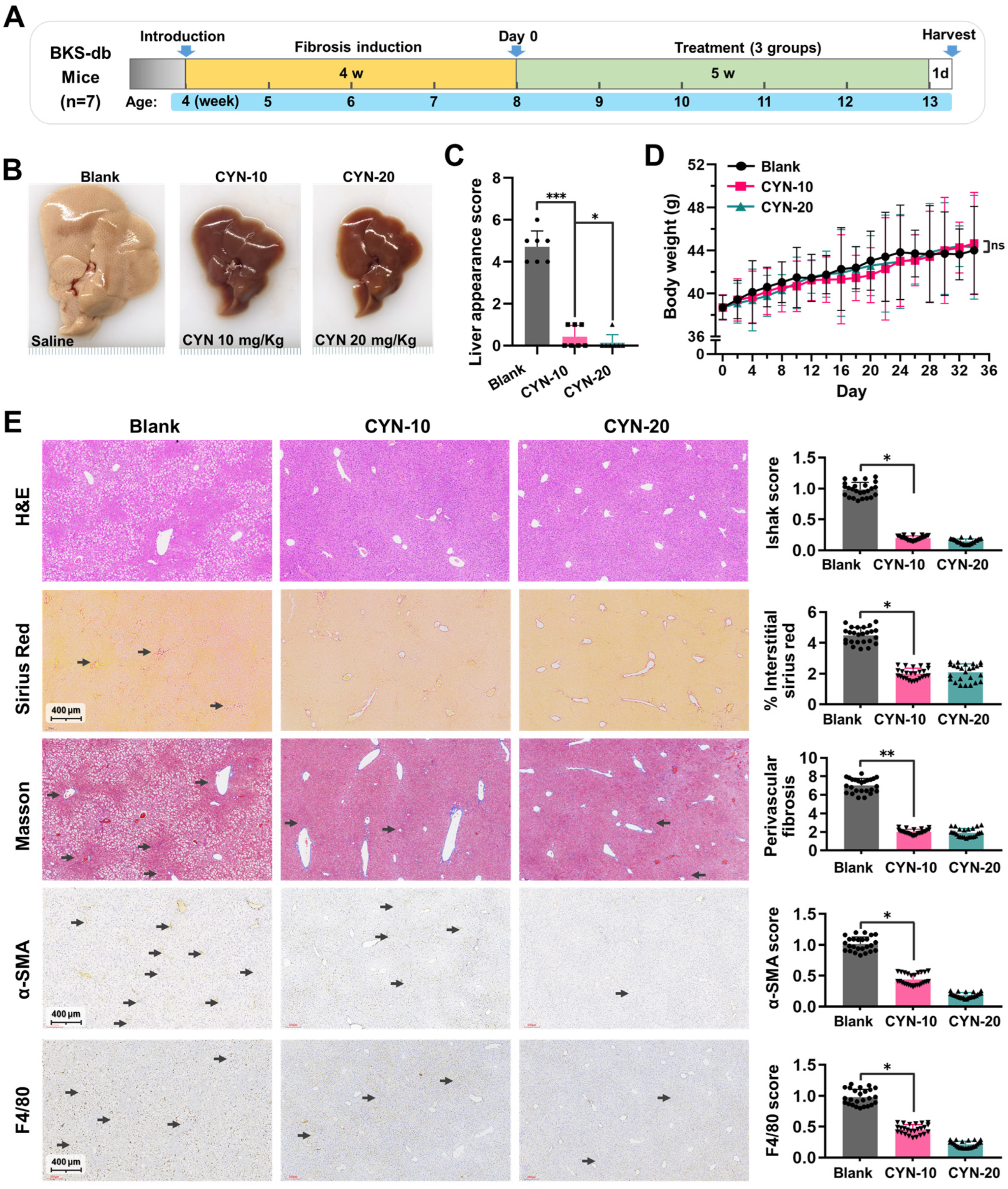 Pharmaceuticals 16 00548 g006 Pharmaceuticals 16 00548 g006