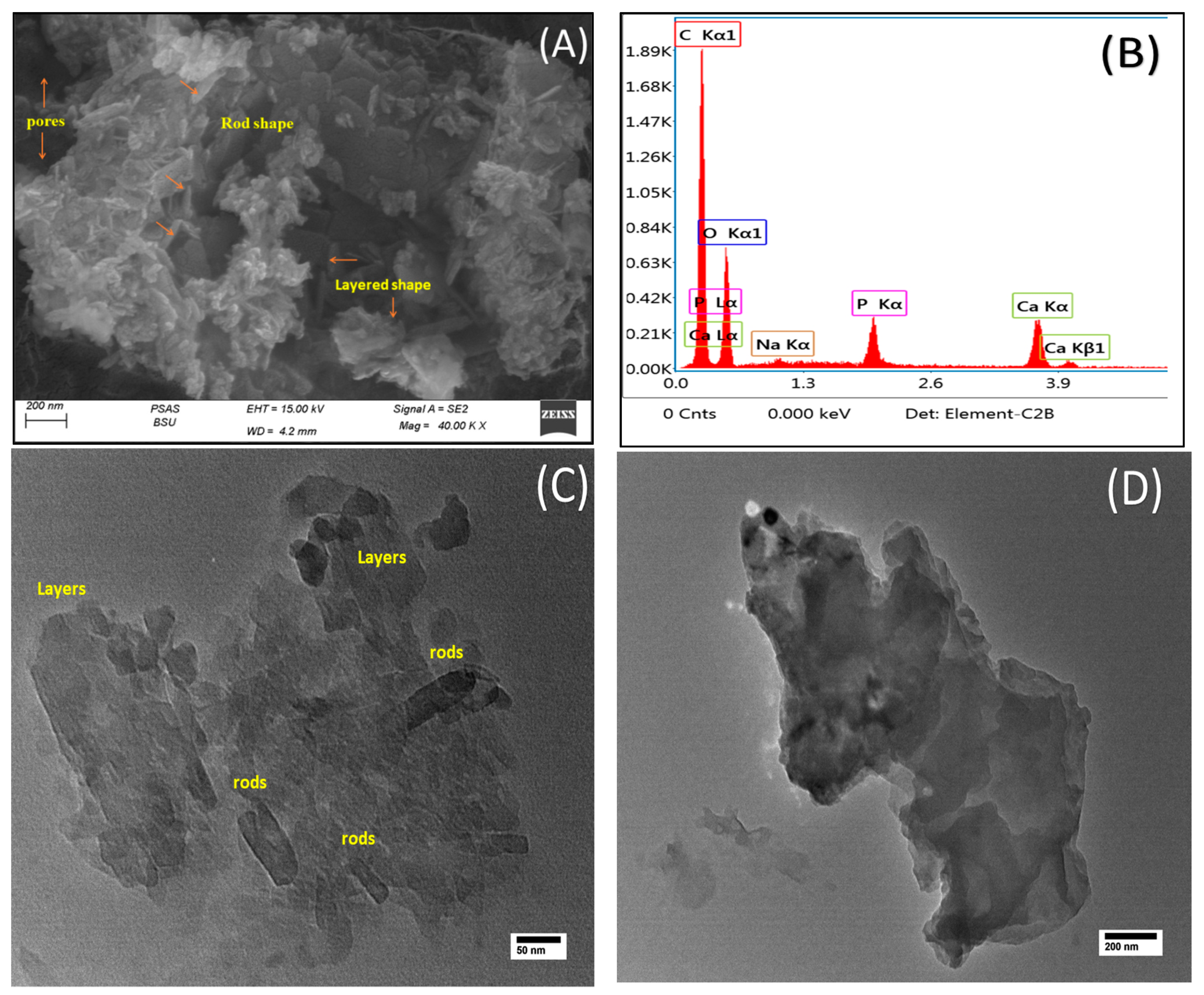 Pharmaceuticals 16 00551 g002