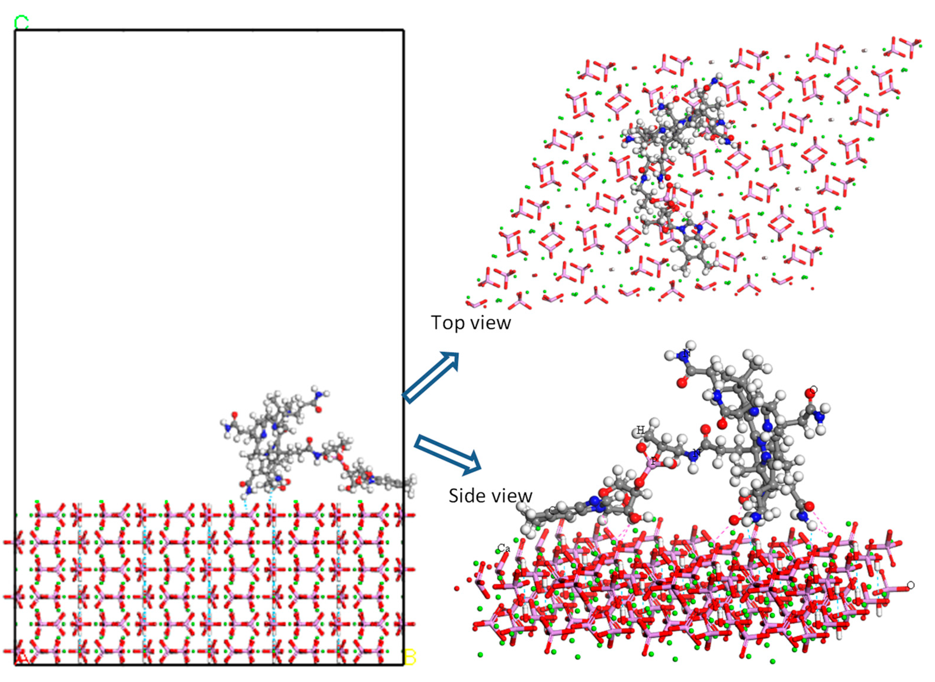 Pharmaceuticals 16 00551 g003