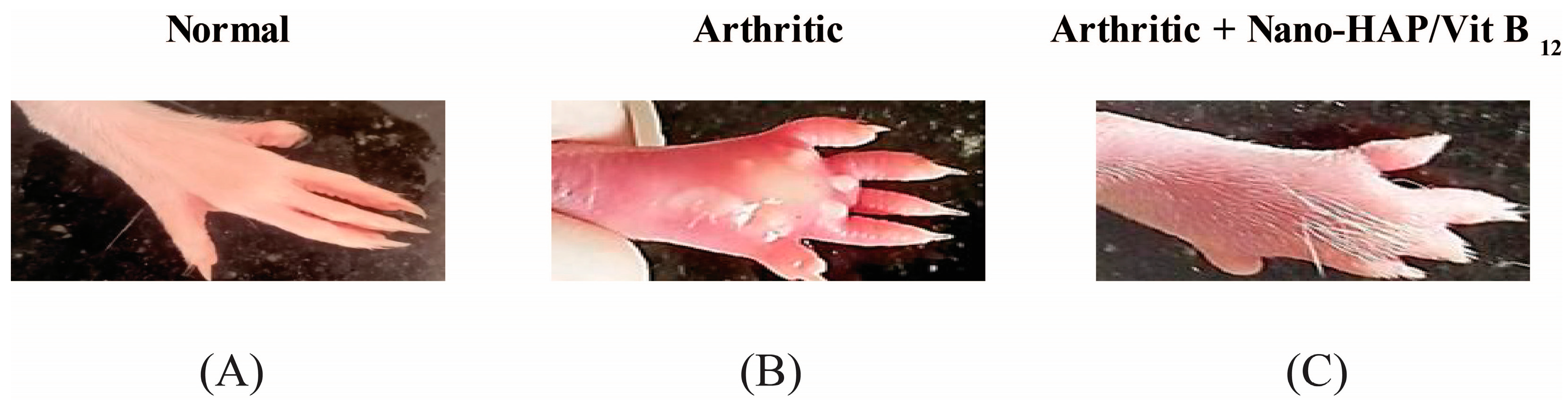 Pharmaceuticals 16 00551 g004