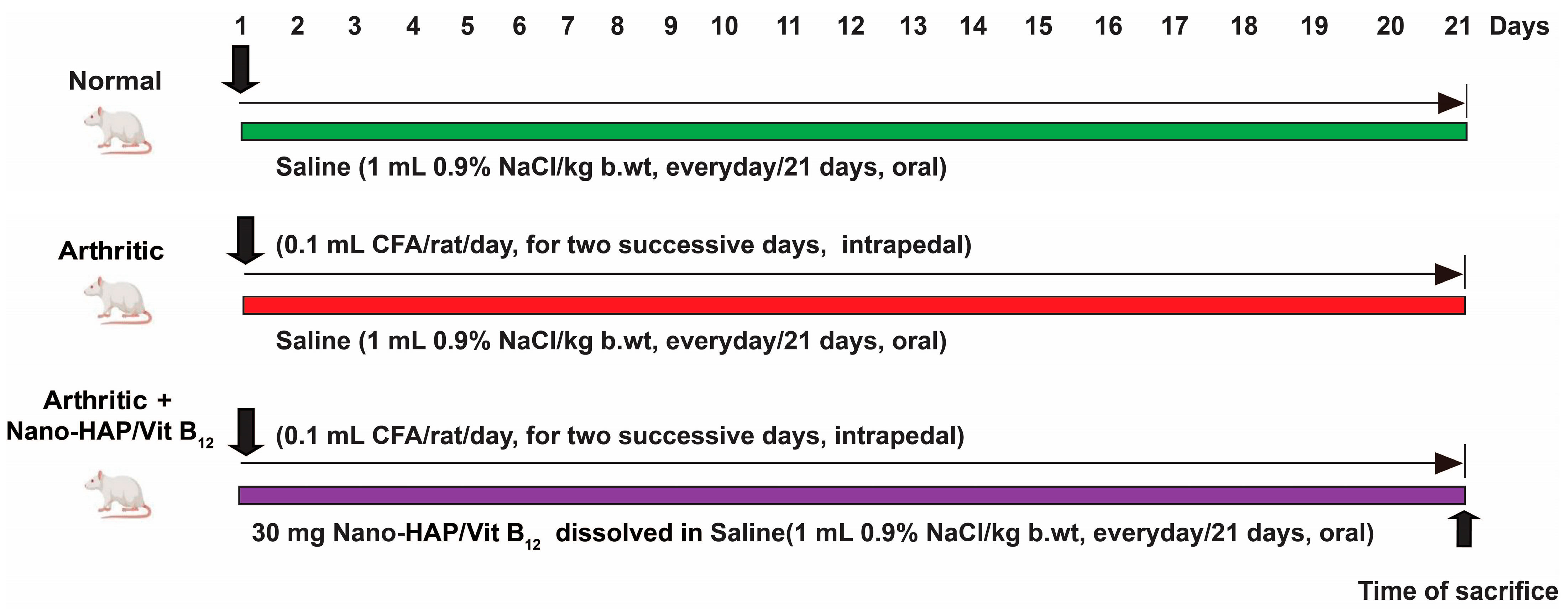 Pharmaceuticals 16 00551 g010