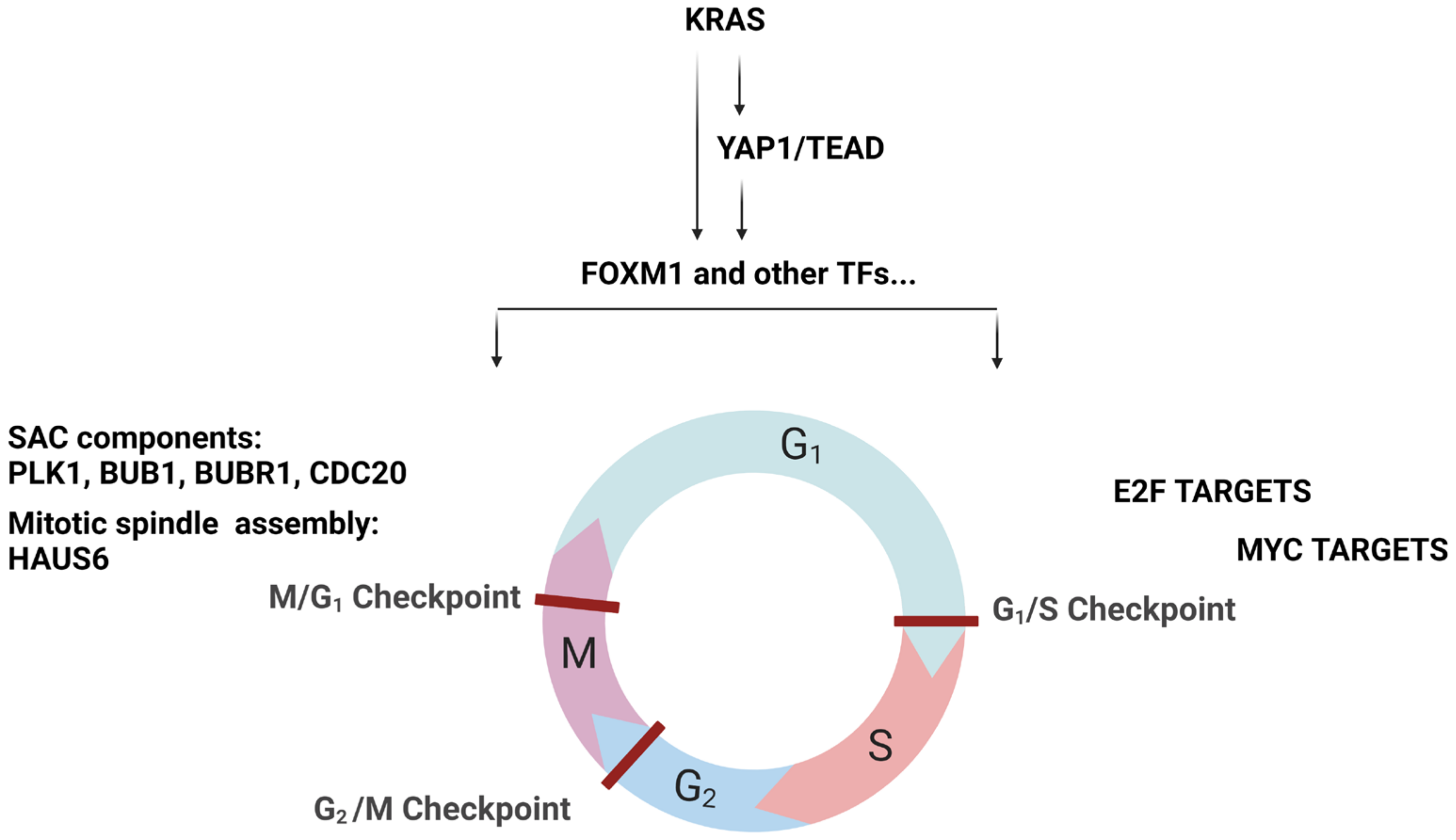 Pharmaceuticals 16 00553 g007