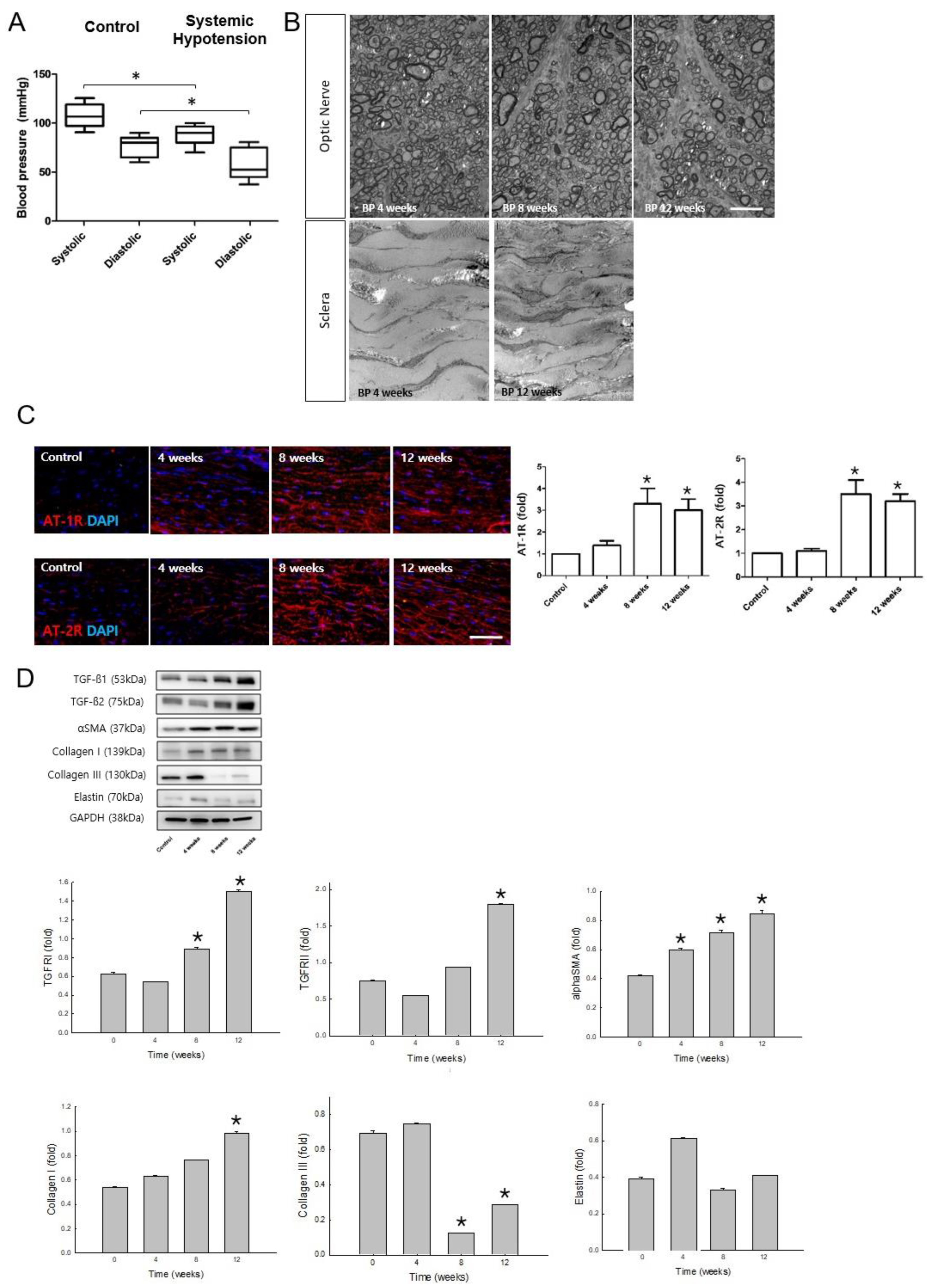 Pharmaceuticals 16 00556 g001 Pharmaceuticals 16 00556 g001