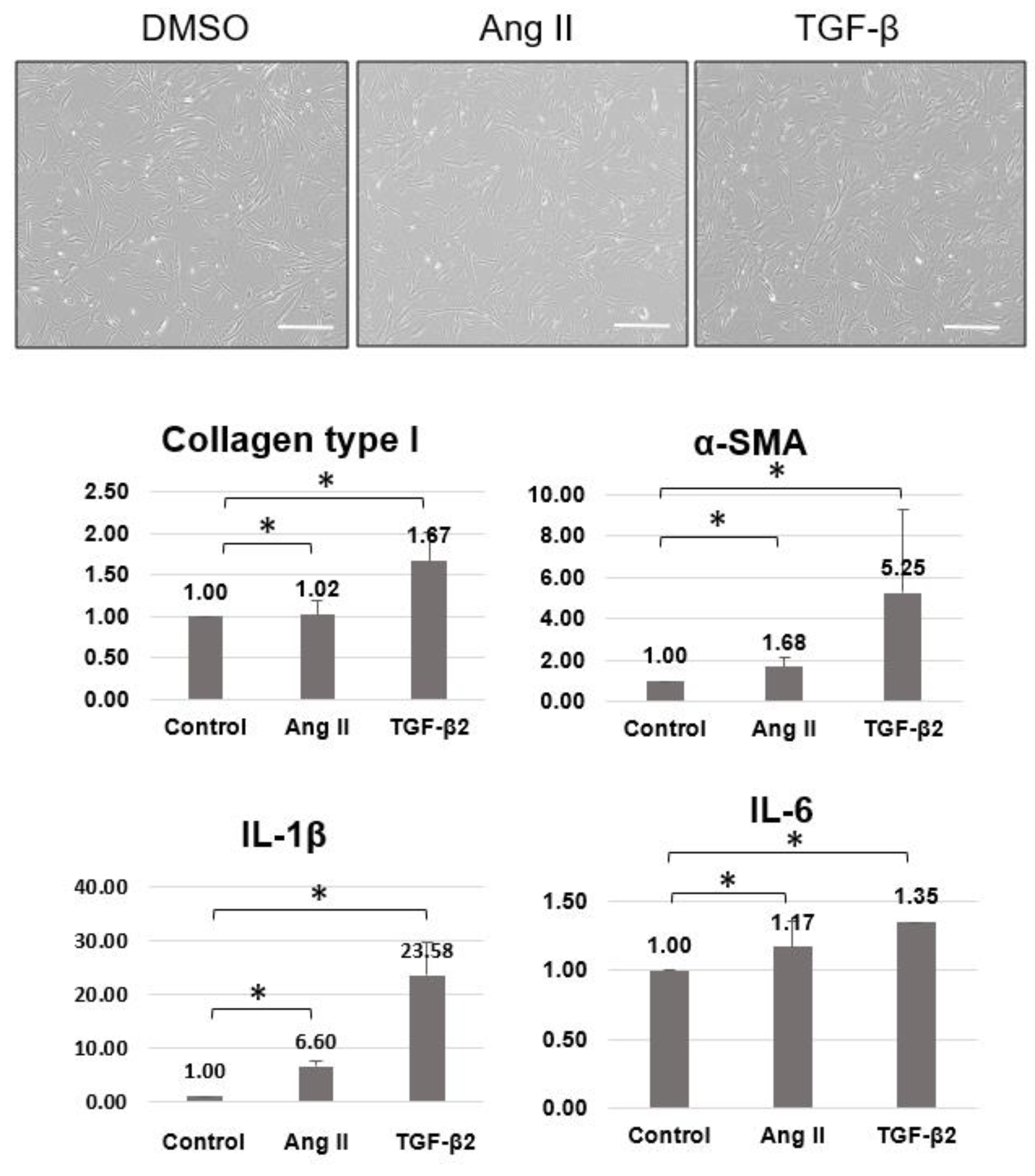 Pharmaceuticals 16 00556 g003 Pharmaceuticals 16 00556 g003