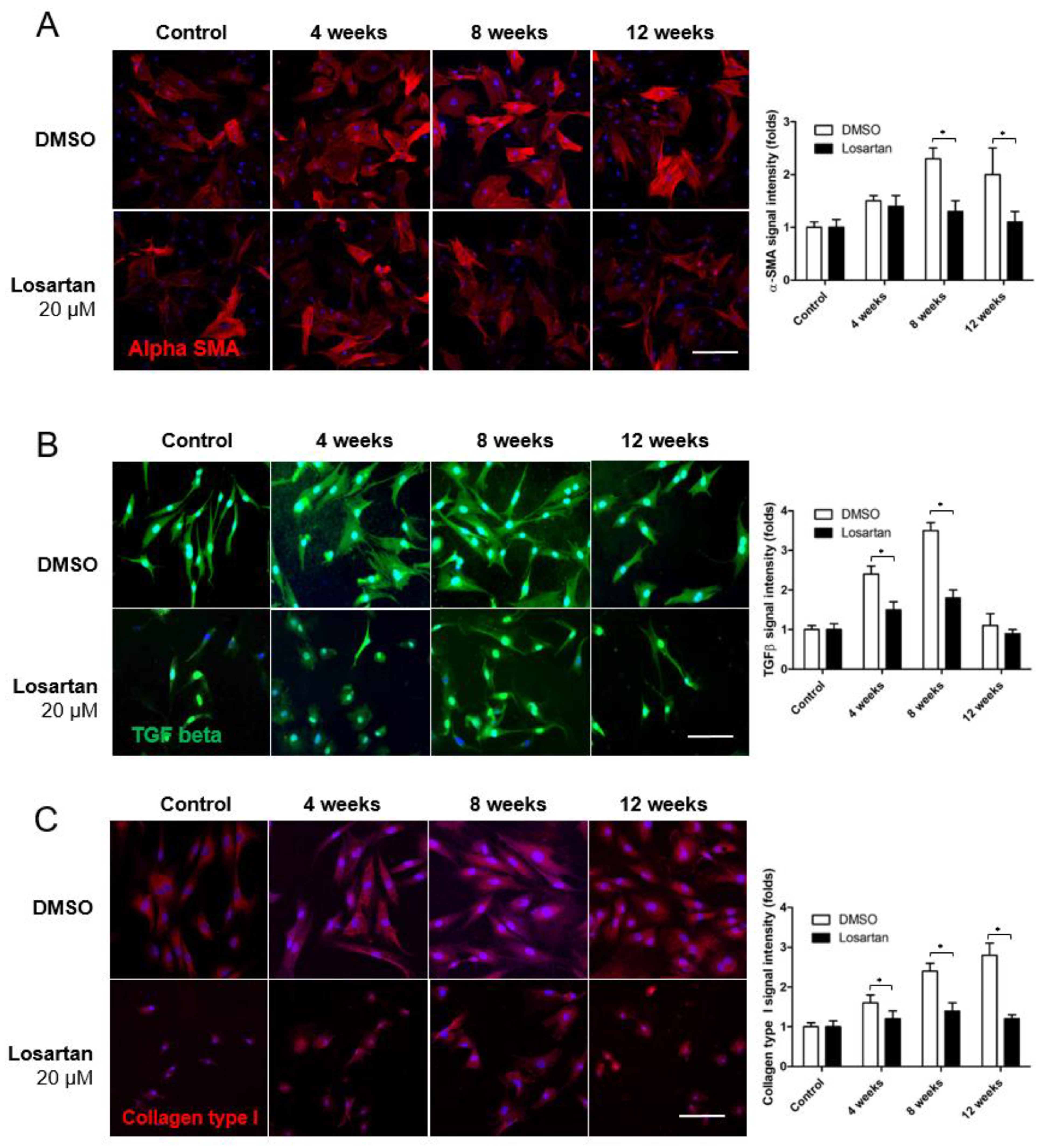 Pharmaceuticals 16 00556 g006 Pharmaceuticals 16 00556 g006