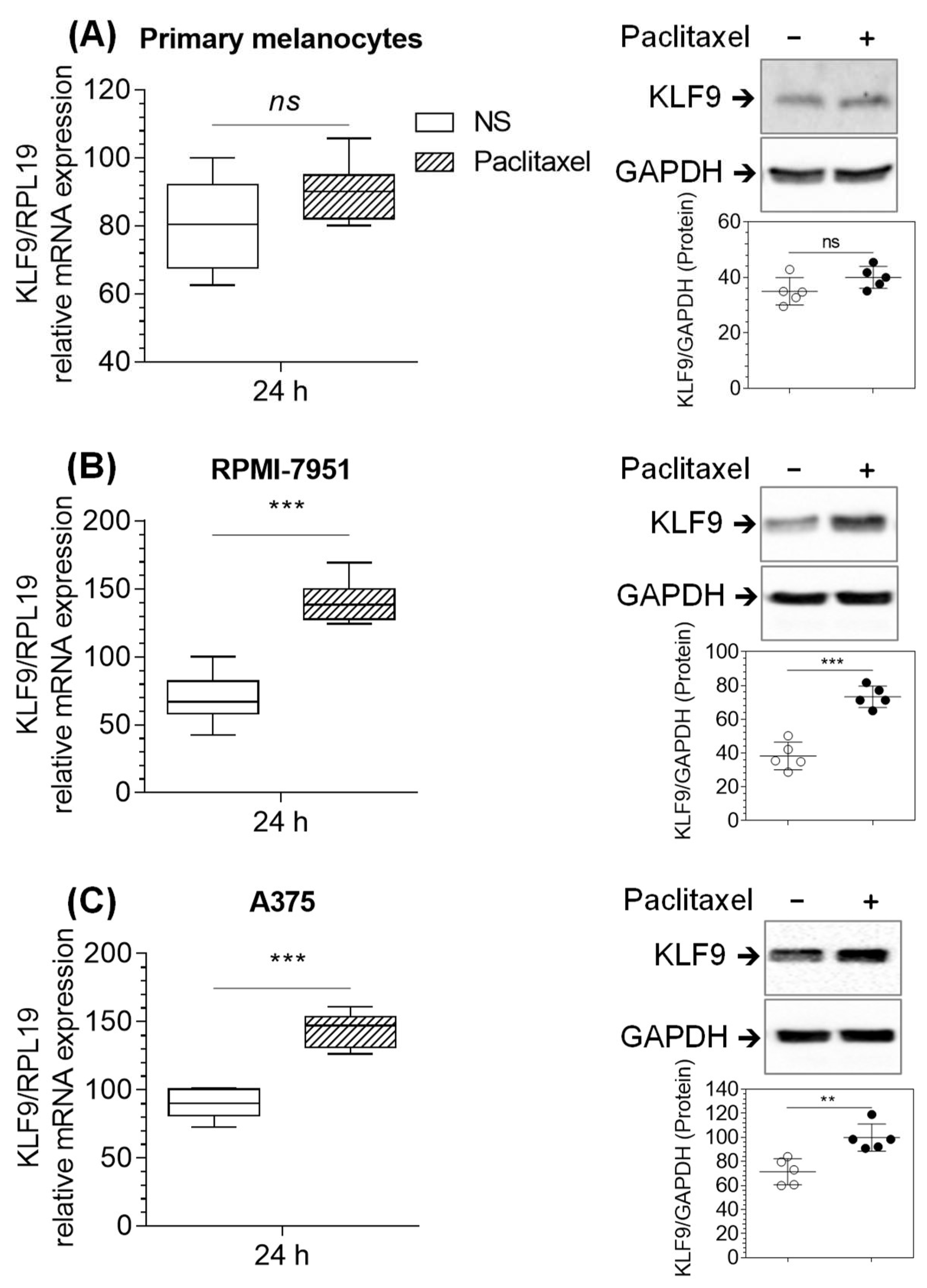 Pharmaceuticals 16 00557 g002 Pharmaceuticals 16 00557 g002