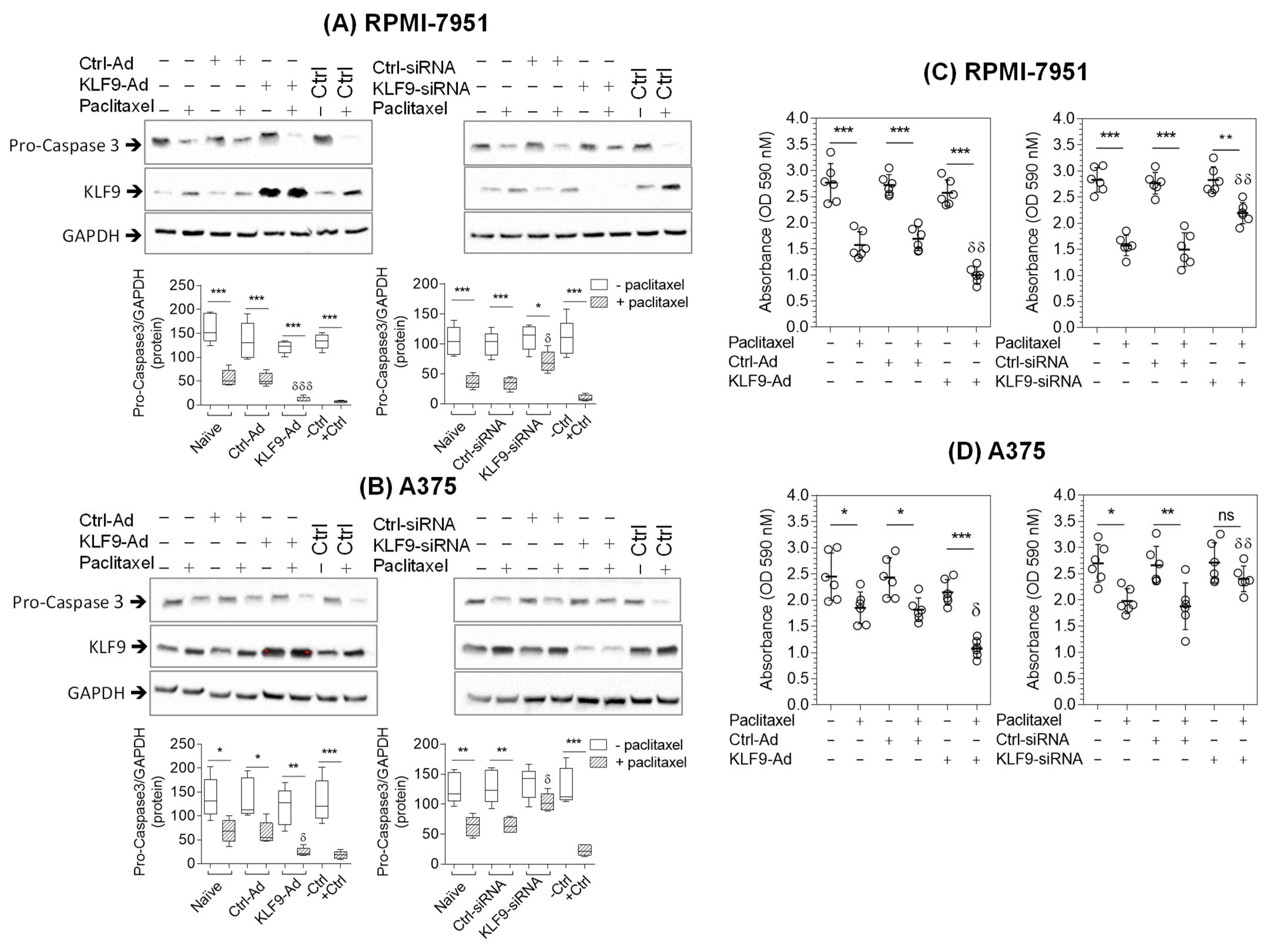 Pharmaceuticals 16 00557 g003 Pharmaceuticals 16 00557 g003