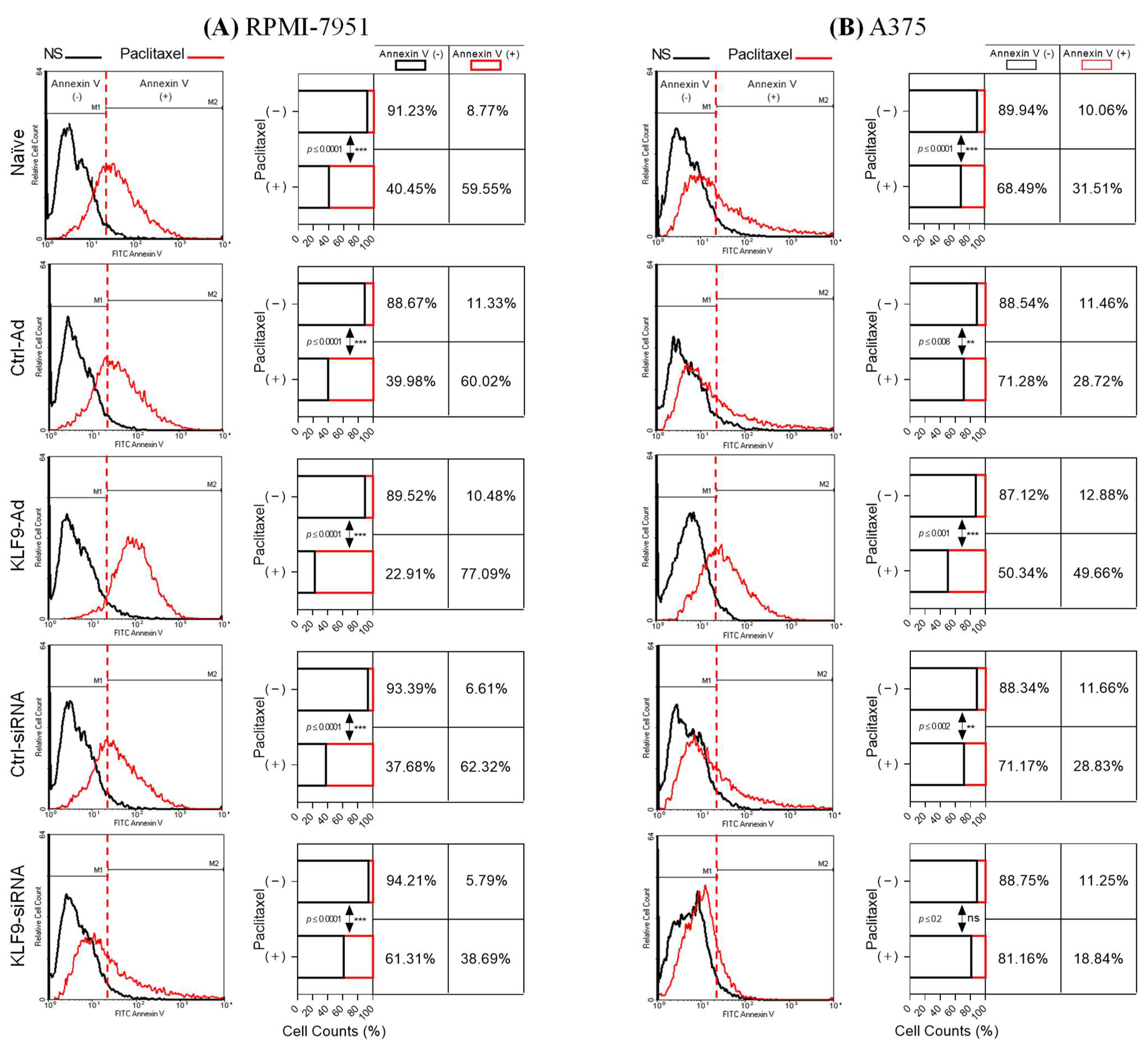 Pharmaceuticals 16 00557 g004 Pharmaceuticals 16 00557 g004