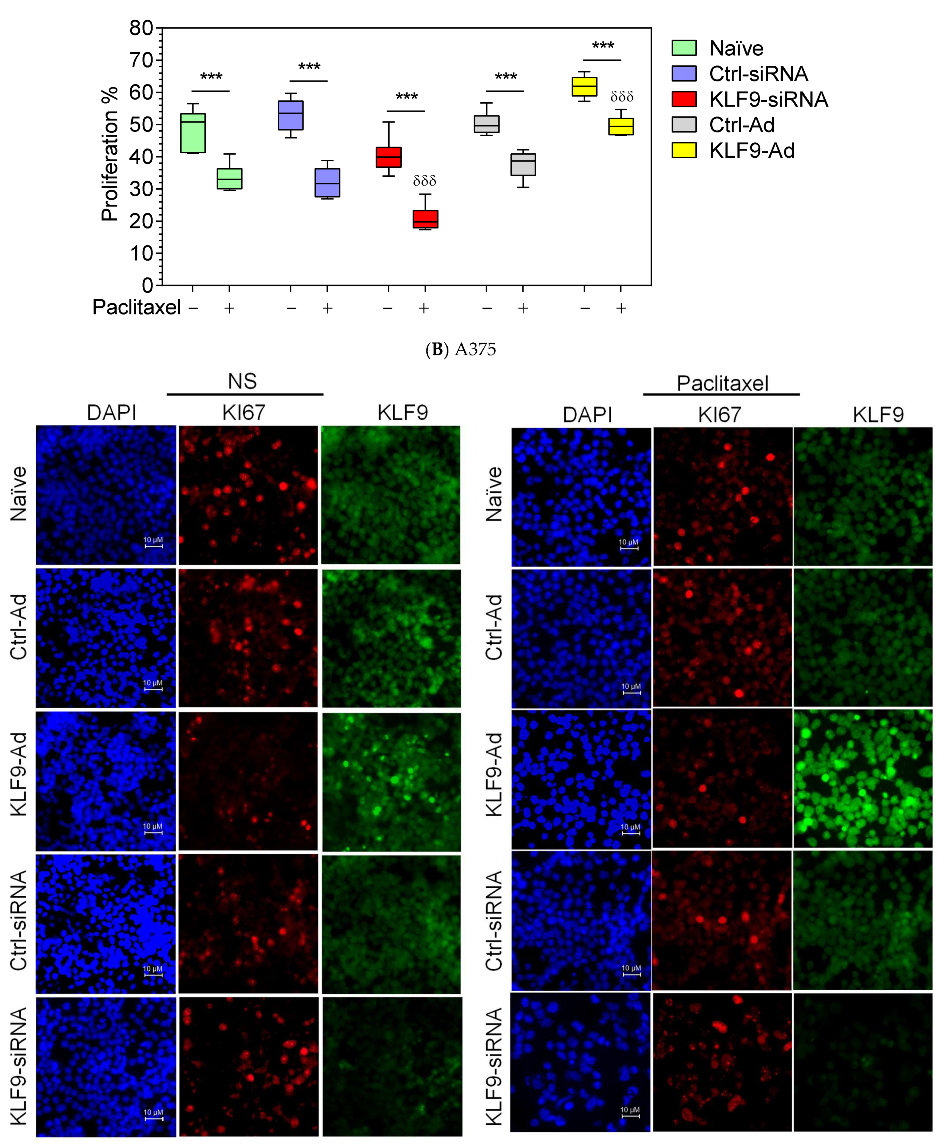 Pharmaceuticals 16 00557 g005b Pharmaceuticals 16 00557 g005b