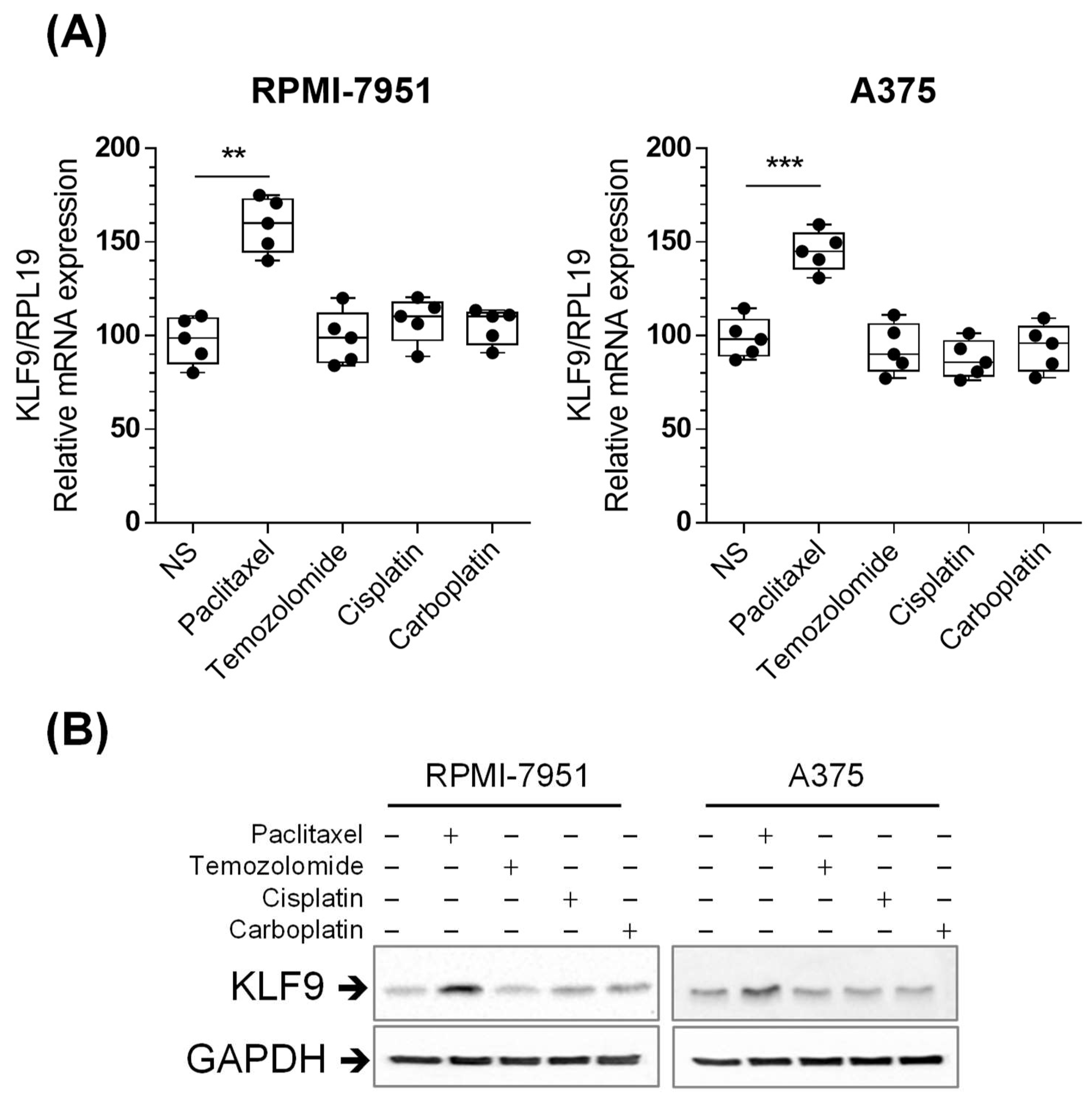 Pharmaceuticals 16 00557 g007 Pharmaceuticals 16 00557 g007