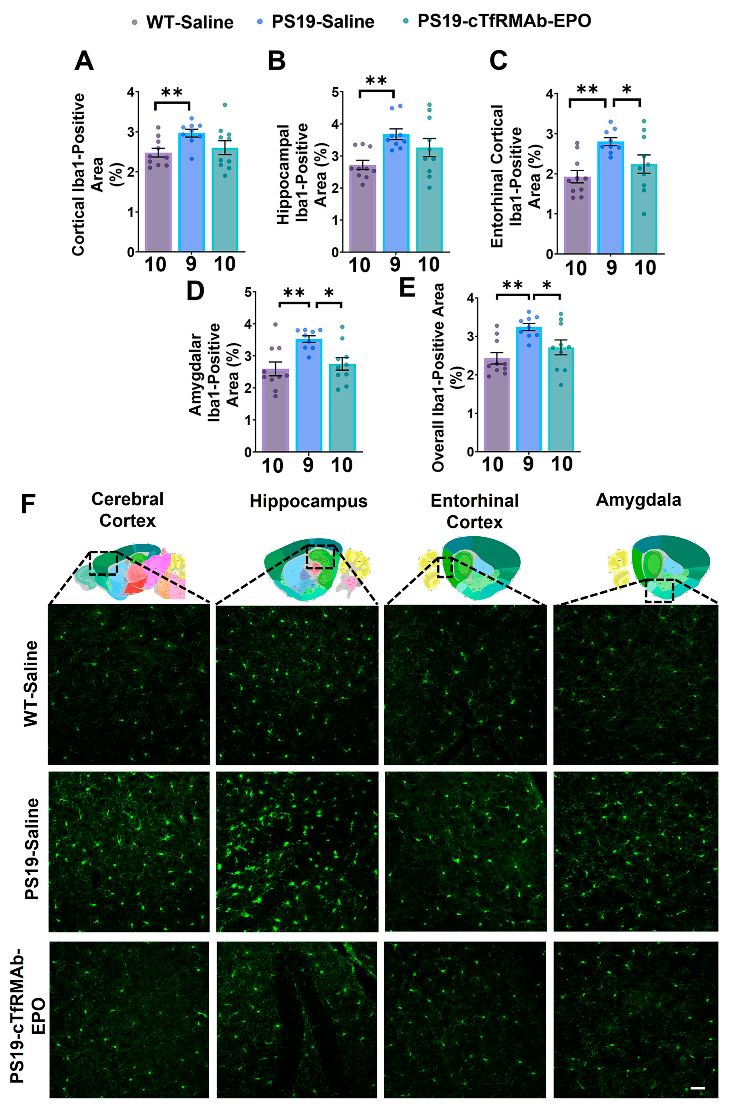 Pharmaceuticals 16 00558 g003 Pharmaceuticals 16 00558 g003